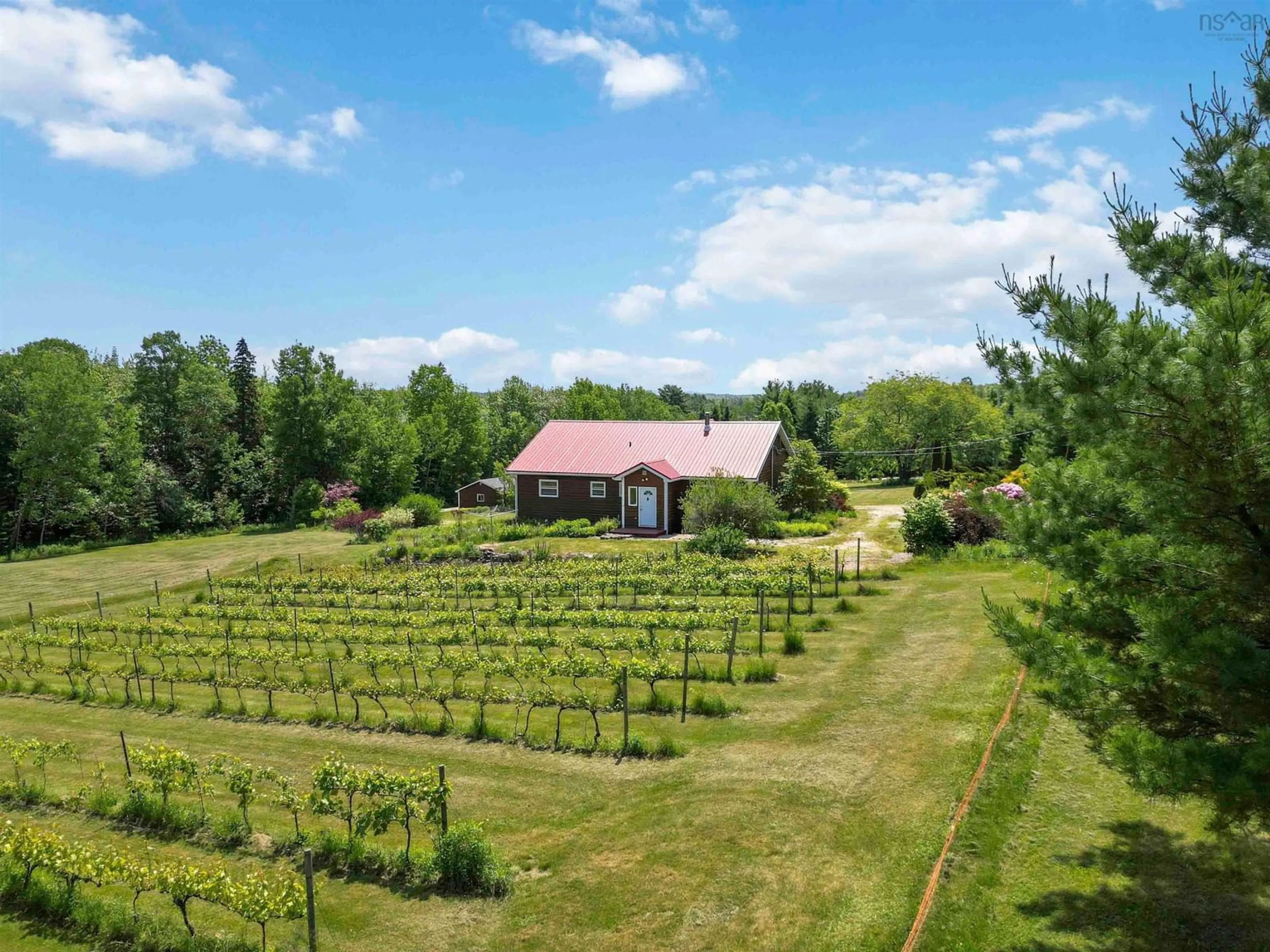 A pic from outside/outdoor area/front of a property/back of a property/a pic from drone, forest/trees view for 18 Fieldview Dr, Scarsdale Nova Scotia B0R 1A0