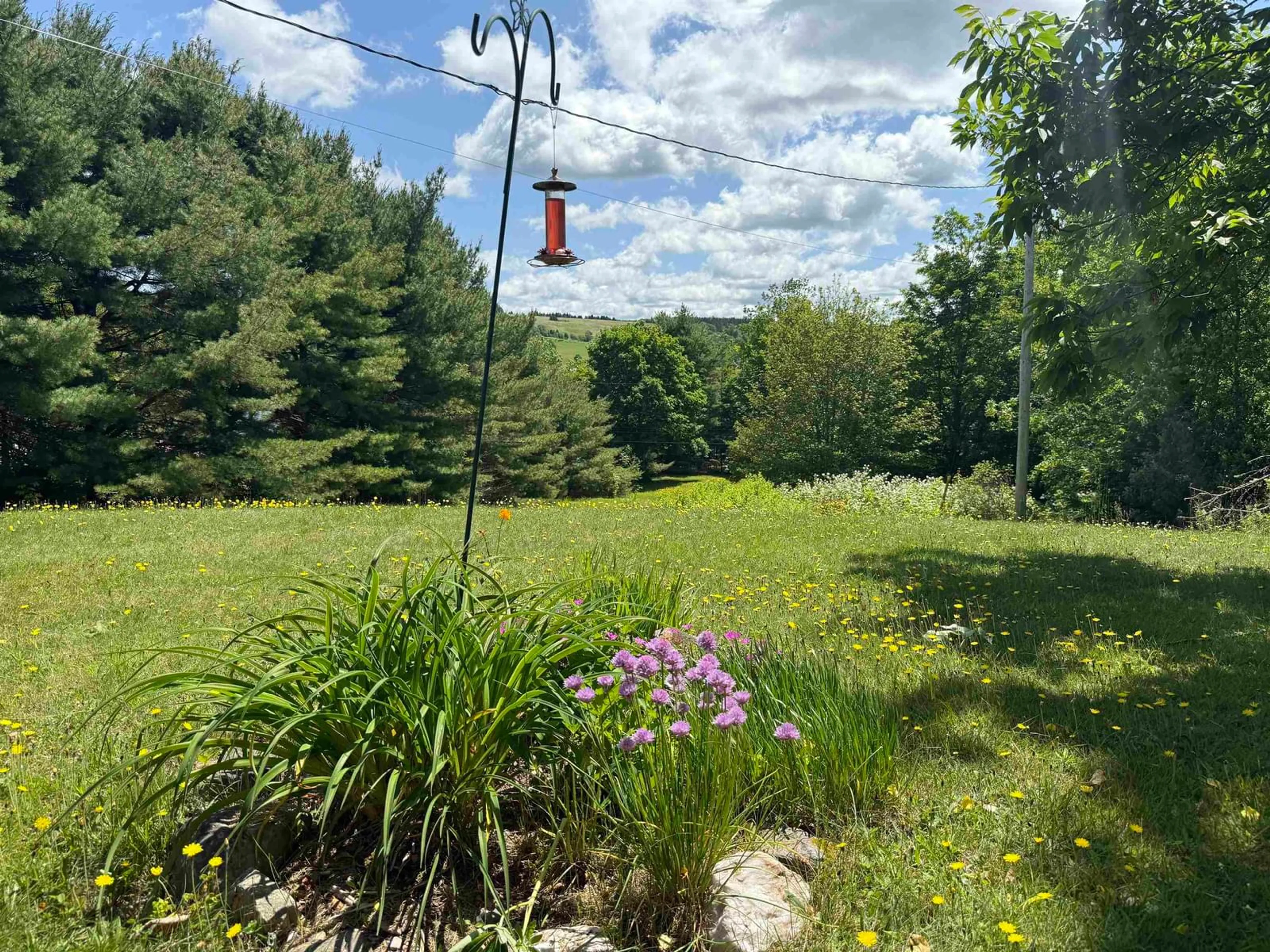 A pic from outside/outdoor area/front of a property/back of a property/a pic from drone, forest/trees view for 19 Brown’s Pl, West Lochaber Nova Scotia B2G 2L3