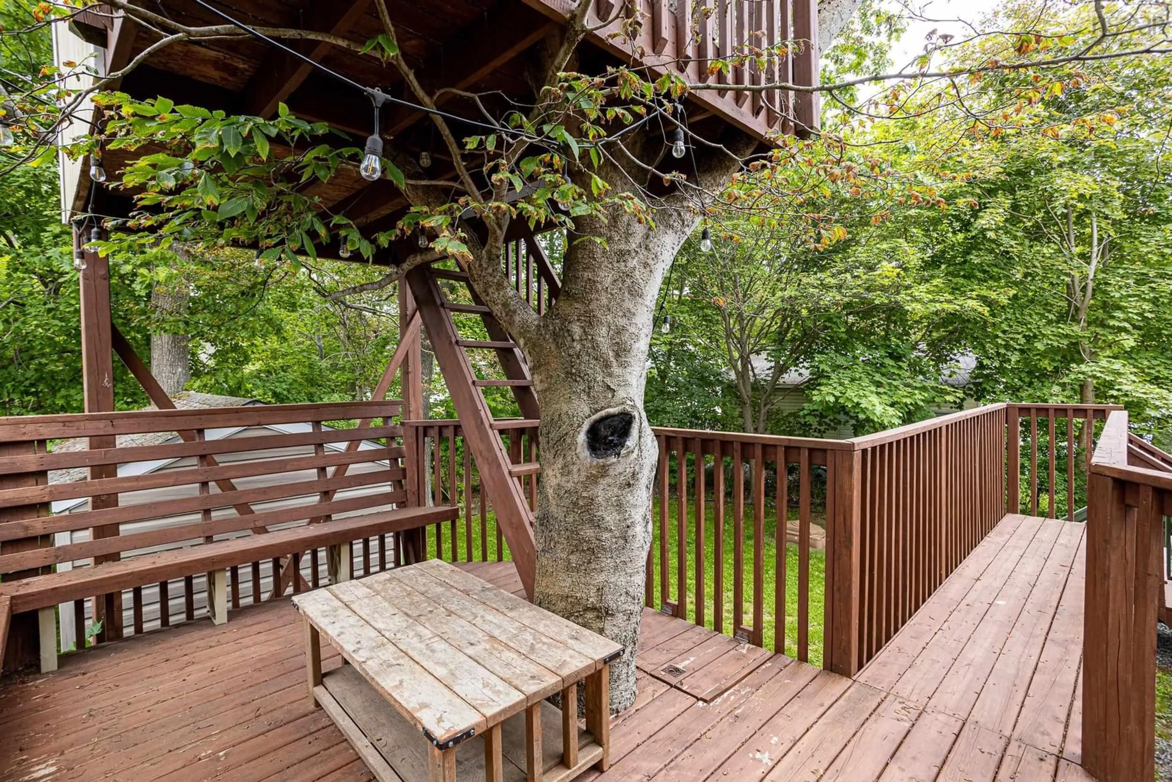Patio, forest/trees view for 94 Herring Cove Rd, Halifax Nova Scotia B3P 1K4