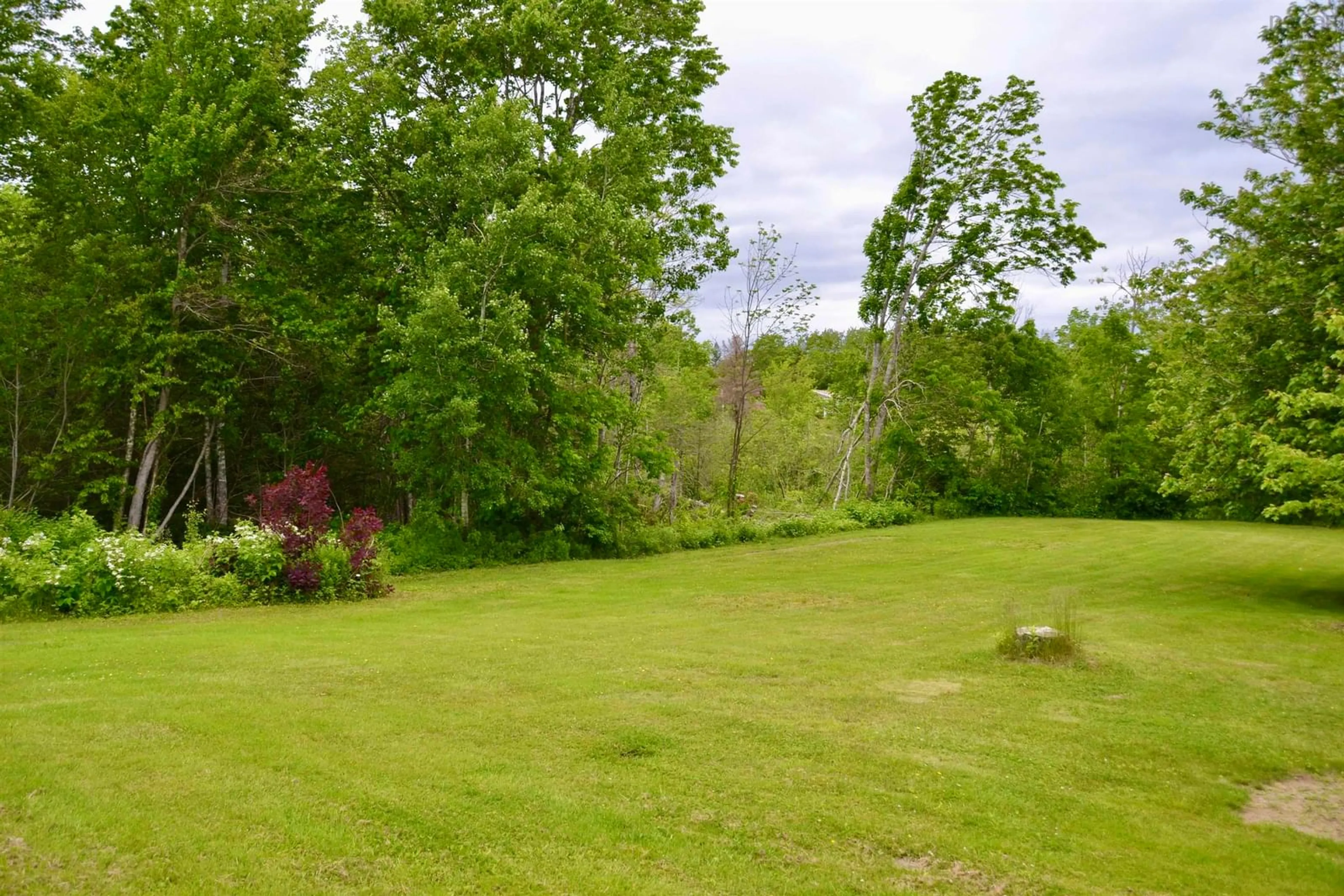 A pic from outside/outdoor area/front of a property/back of a property/a pic from drone, forest/trees view for 171 Highway 376, Central West River Nova Scotia B0K 1H0