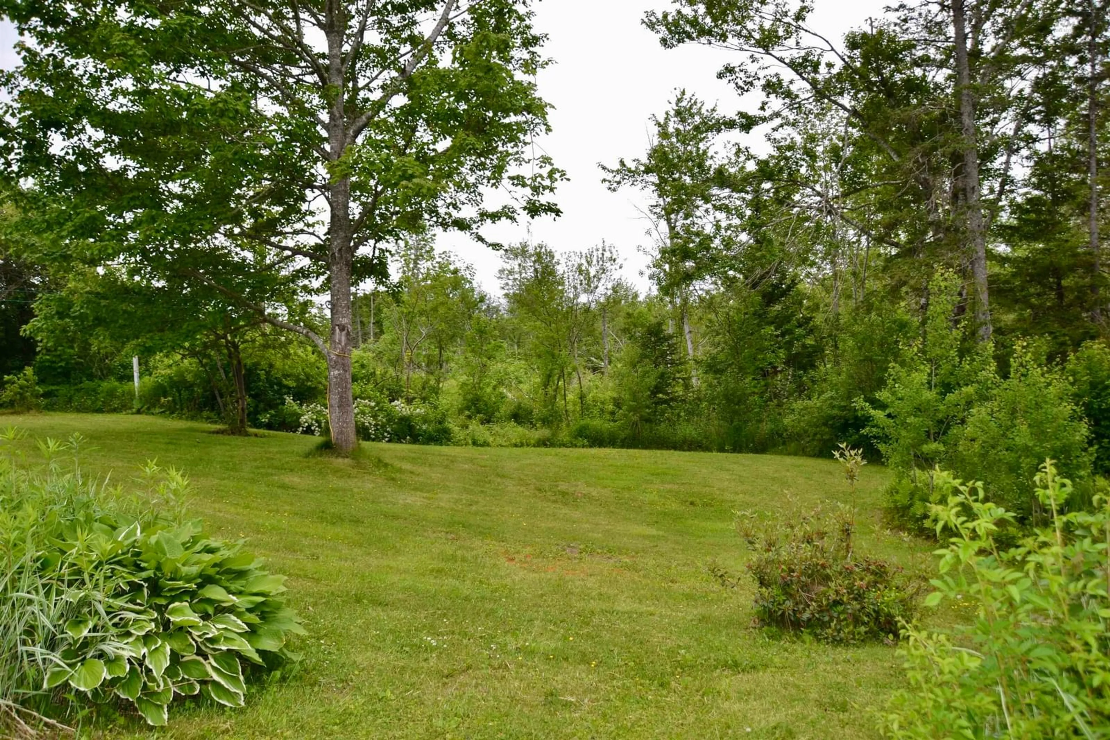 Patio, forest/trees view for 171 Highway 376, Central West River Nova Scotia B0K 1H0