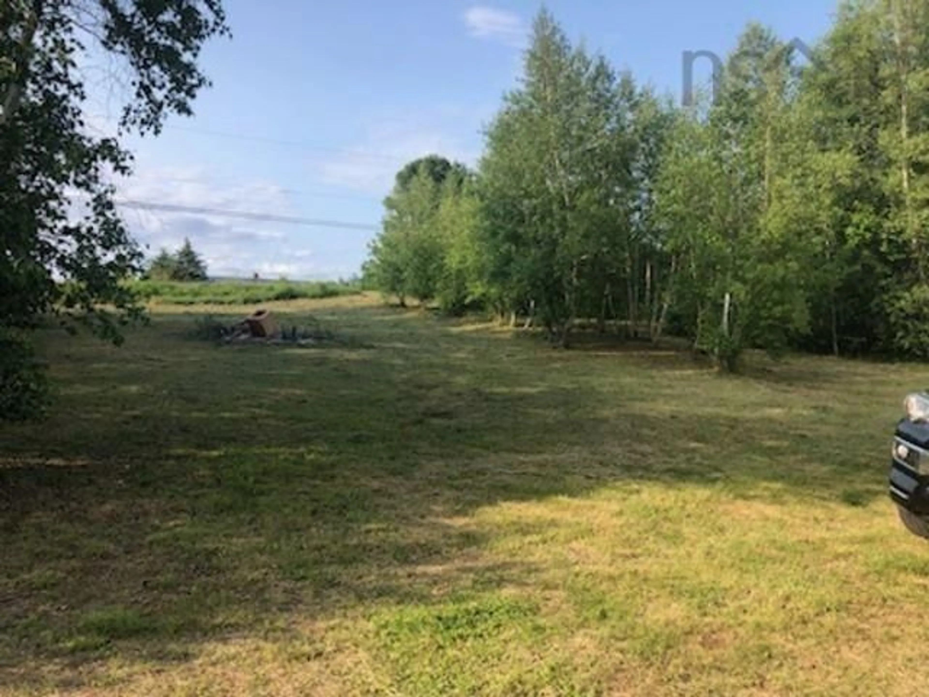 A pic from outside/outdoor area/front of a property/back of a property/a pic from drone, forest/trees view for 392 Island Rd, Malagash Centre Nova Scotia B0K 1E0