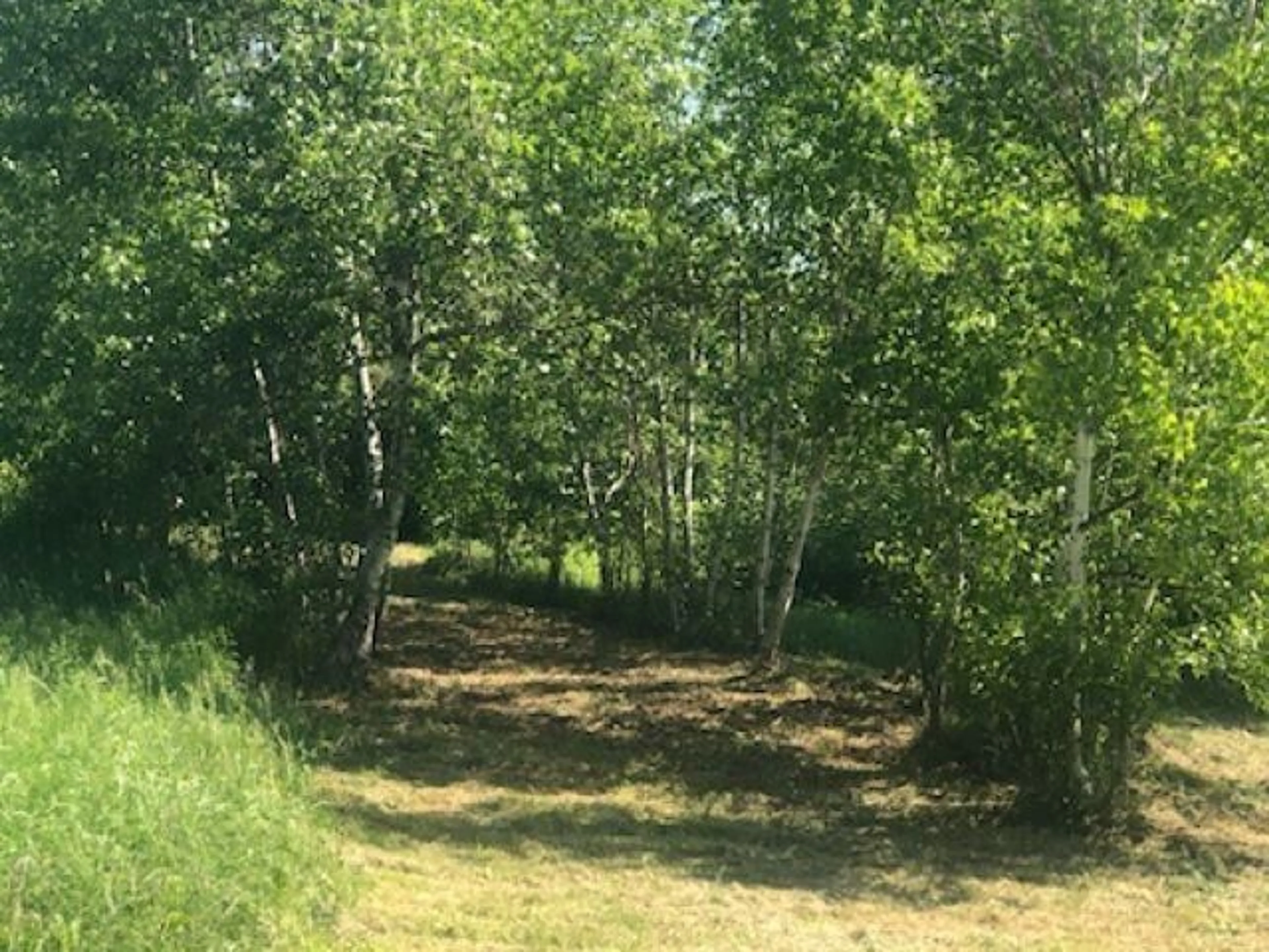 A pic from outside/outdoor area/front of a property/back of a property/a pic from drone, forest/trees view for 392 Island Rd, Malagash Centre Nova Scotia B0K 1E0