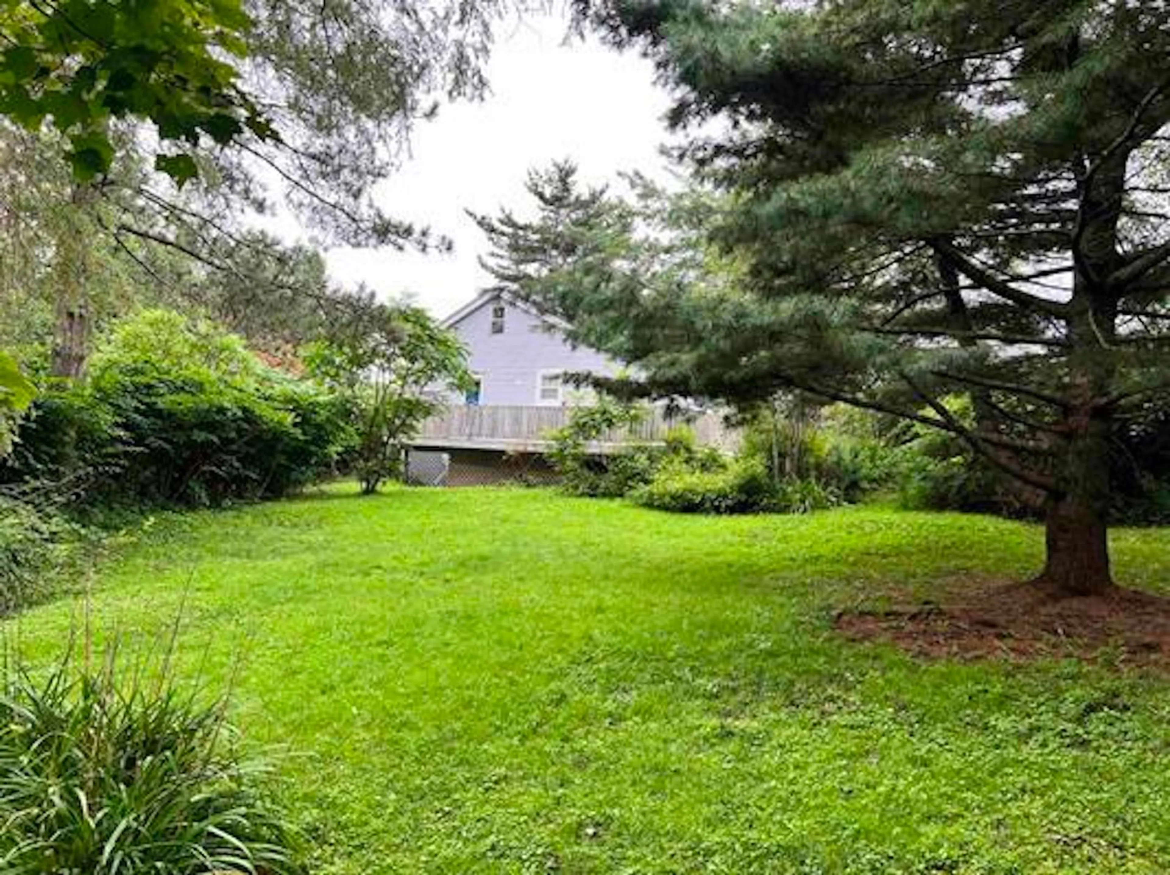 Patio, forest/trees view for 17 Lakeview Ave, Middle Sackville Nova Scotia B4E 3B5