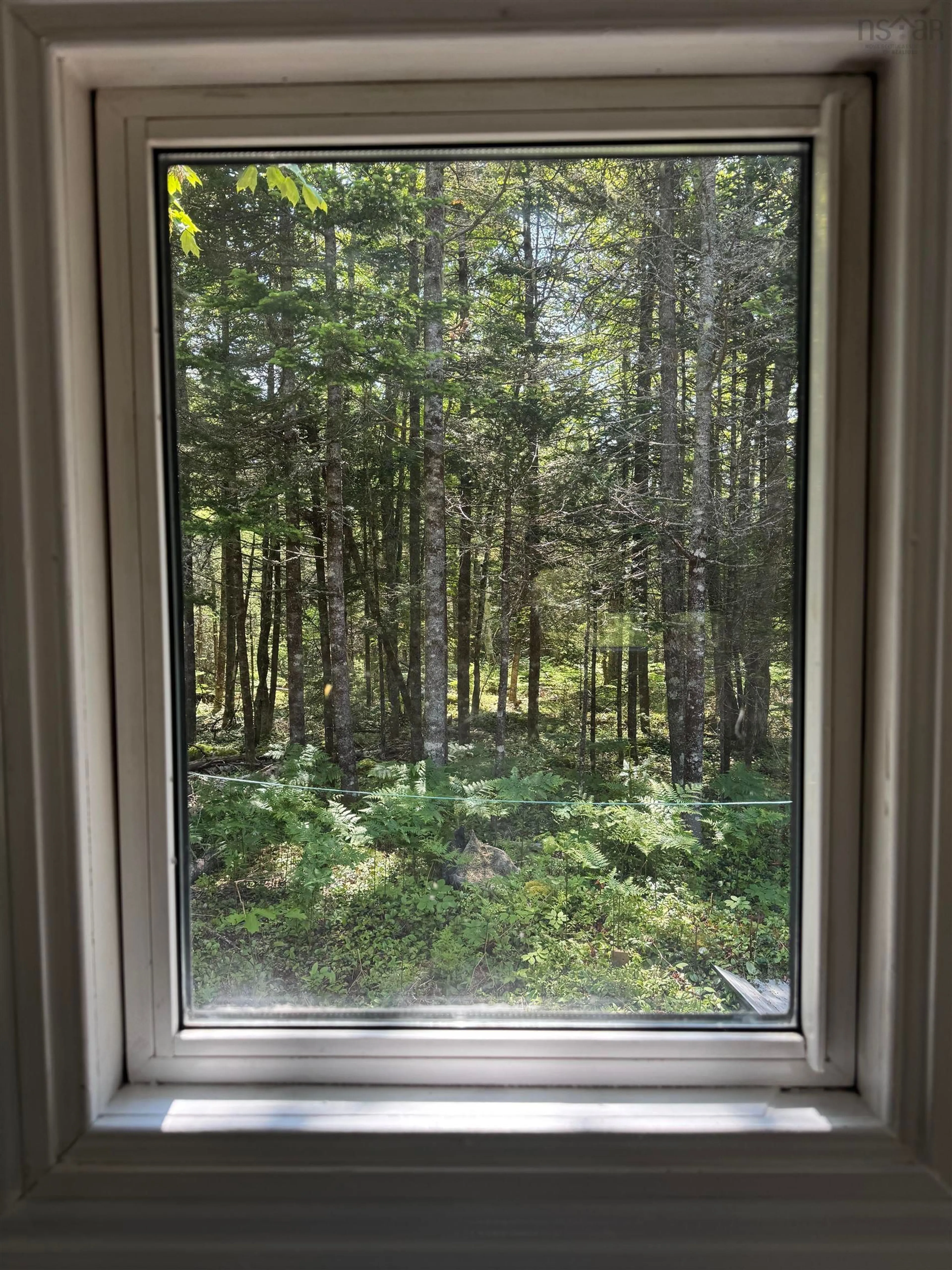 A pic of a room for 110 Lake Mulgrave Rd, Victory Nova Scotia B0S 1B0