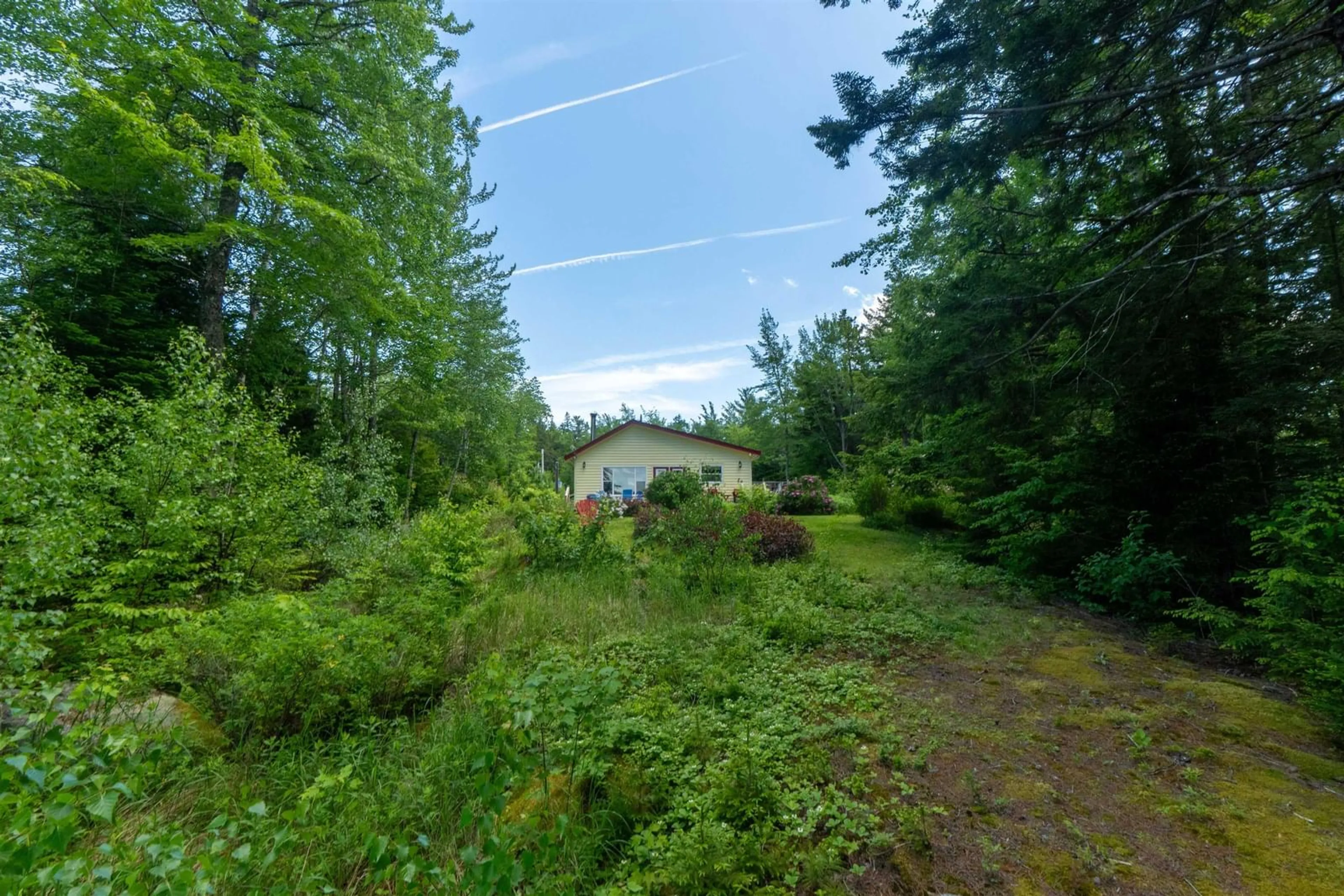 A pic from outside/outdoor area/front of a property/back of a property/a pic from drone, forest/trees view for 172 Spruce Dr, Parkdale Nova Scotia B0R 1A0