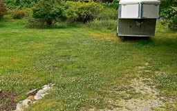 history photo preview