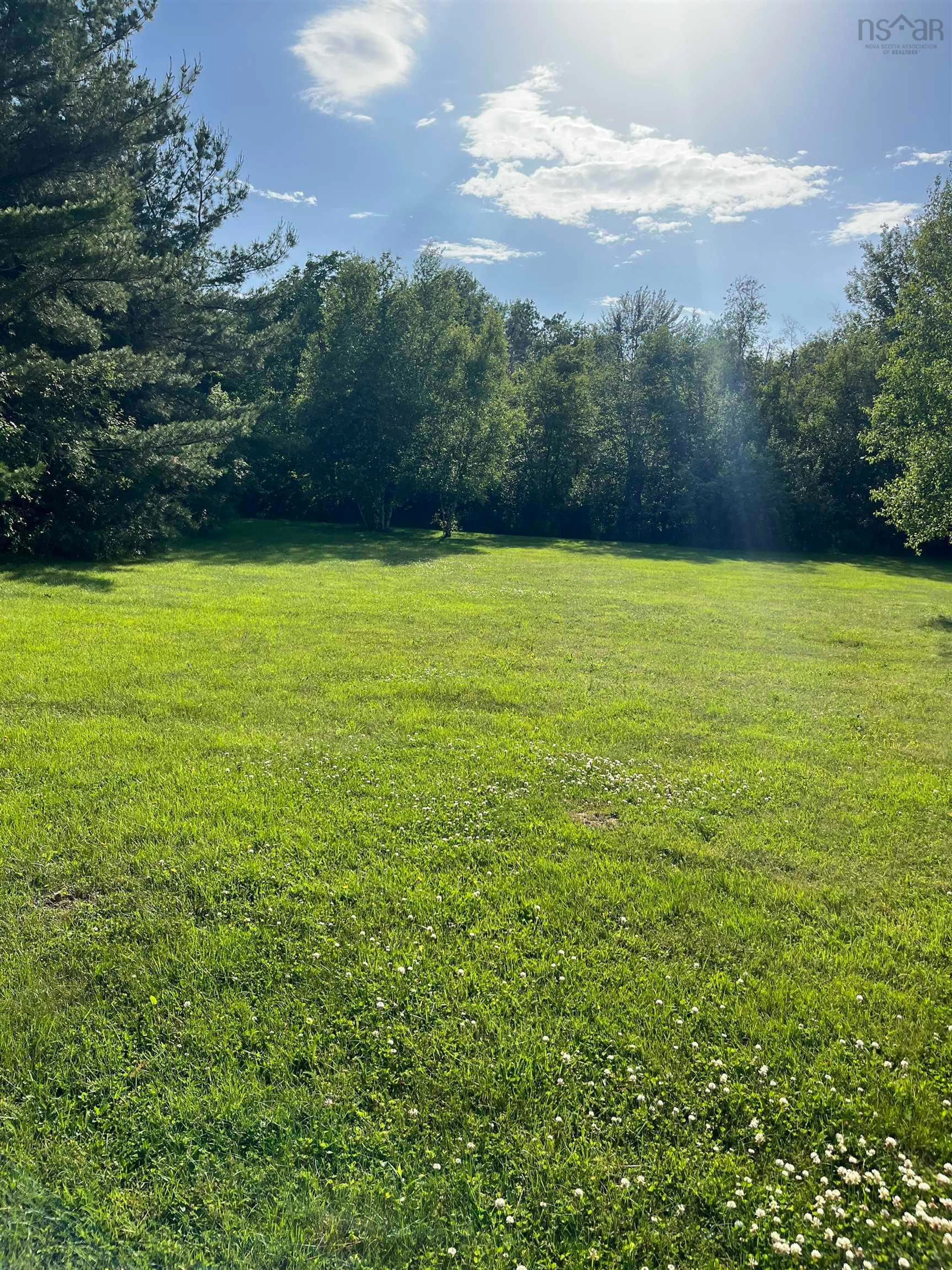 A pic from outside/outdoor area/front of a property/back of a property/a pic from drone, forest/trees view for 8373 Highway 311, Balfron Nova Scotia B0K 1V0