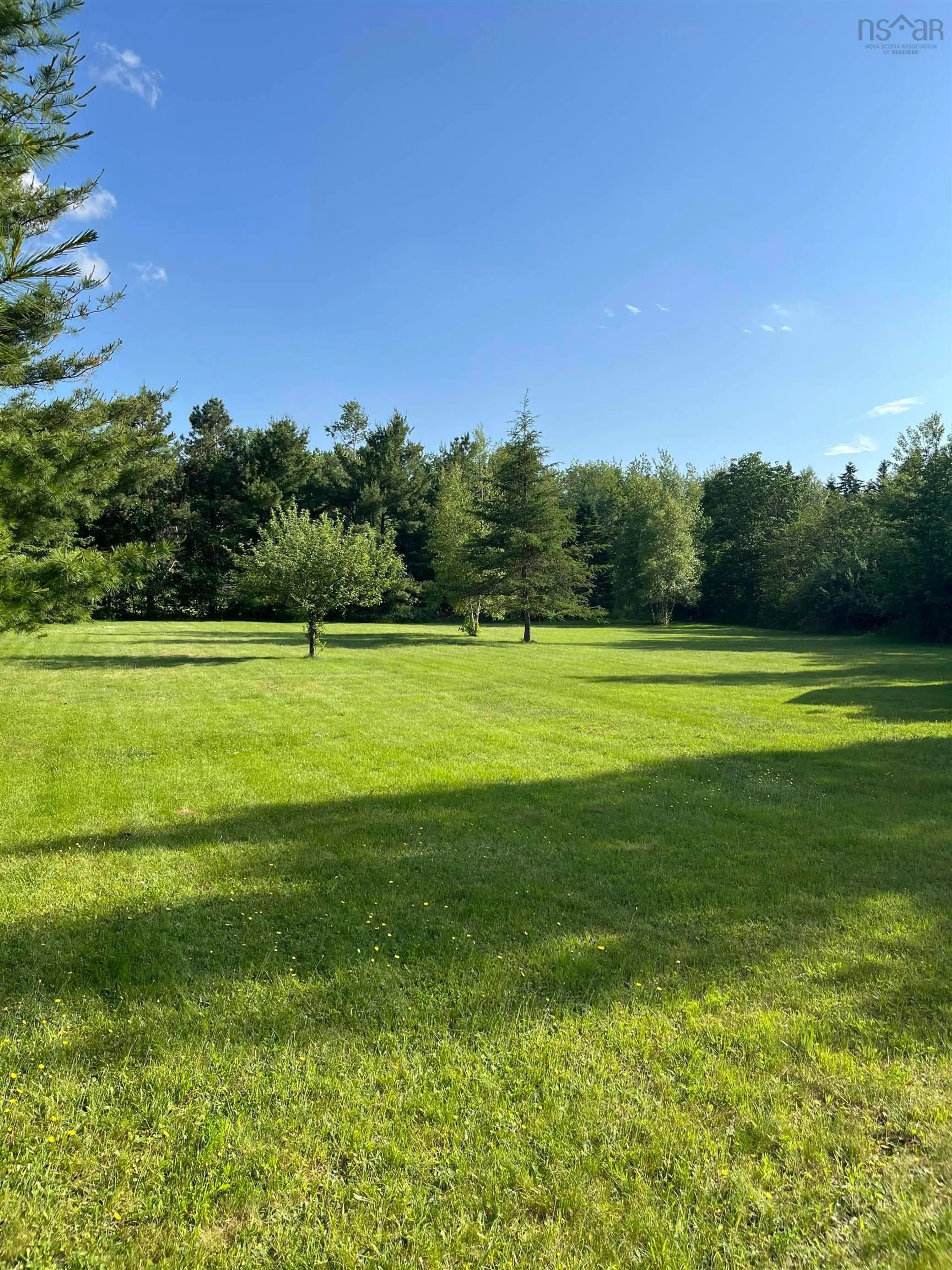 A pic from outside/outdoor area/front of a property/back of a property/a pic from drone, forest/trees view for 8373 Highway 311, Balfron Nova Scotia B0K 1V0