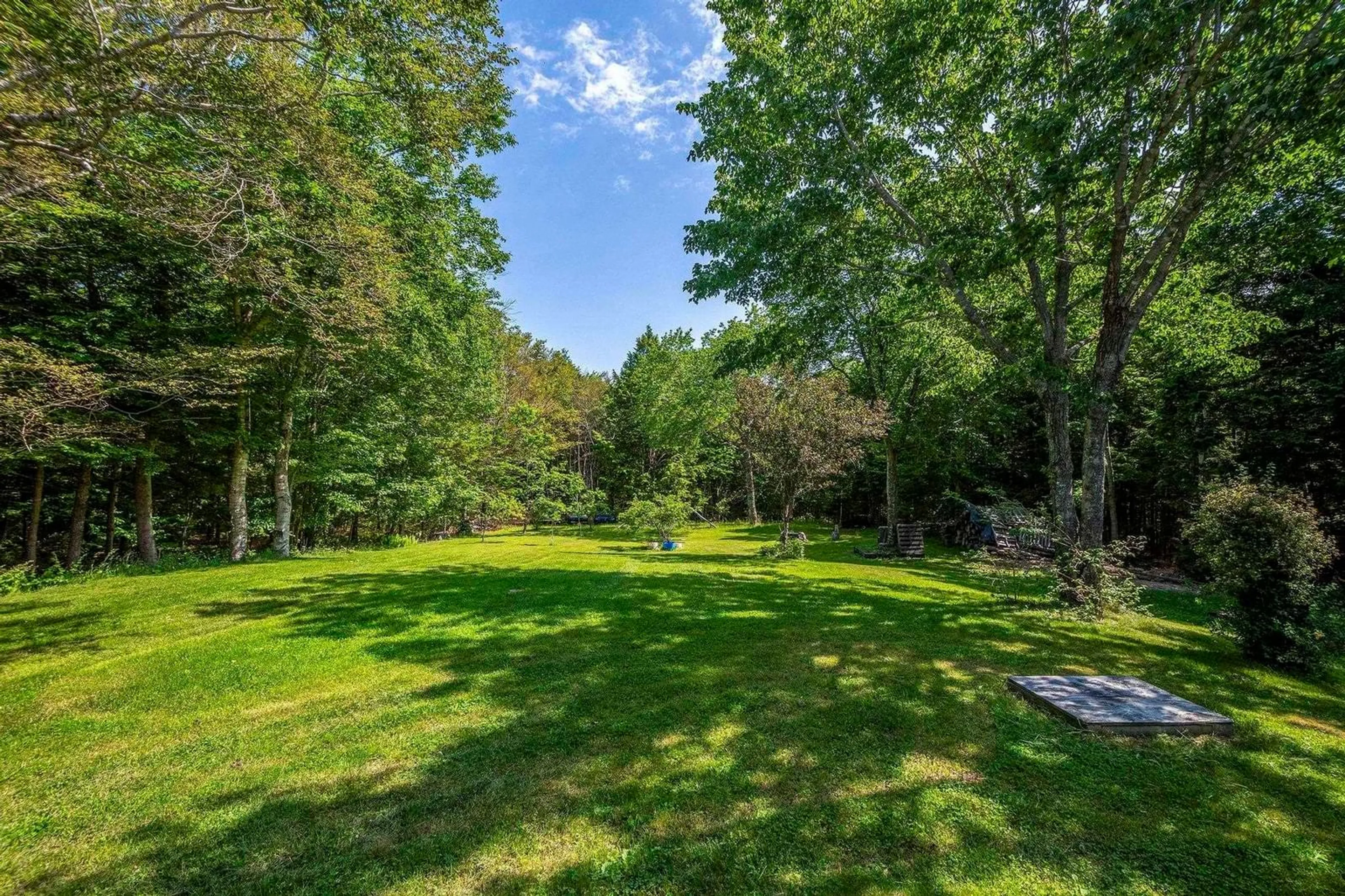 A pic from outside/outdoor area/front of a property/back of a property/a pic from drone, forest/trees view for 1448 Beech Hill Rd, Chester Basin Nova Scotia B0J 1K0