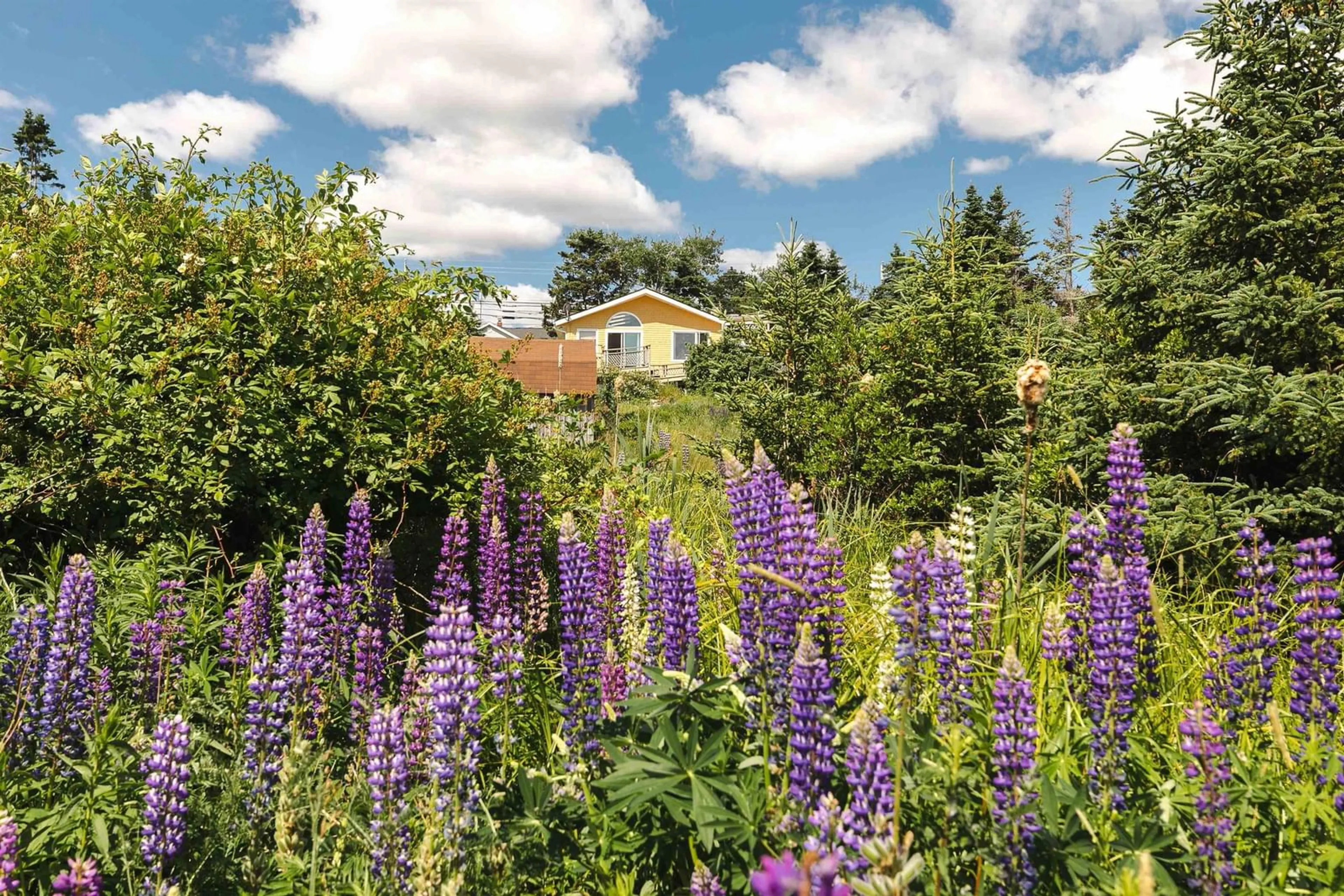 Shed for 664 Ketch Harbour Rd, Portuguese Cove Nova Scotia B3V 1K2