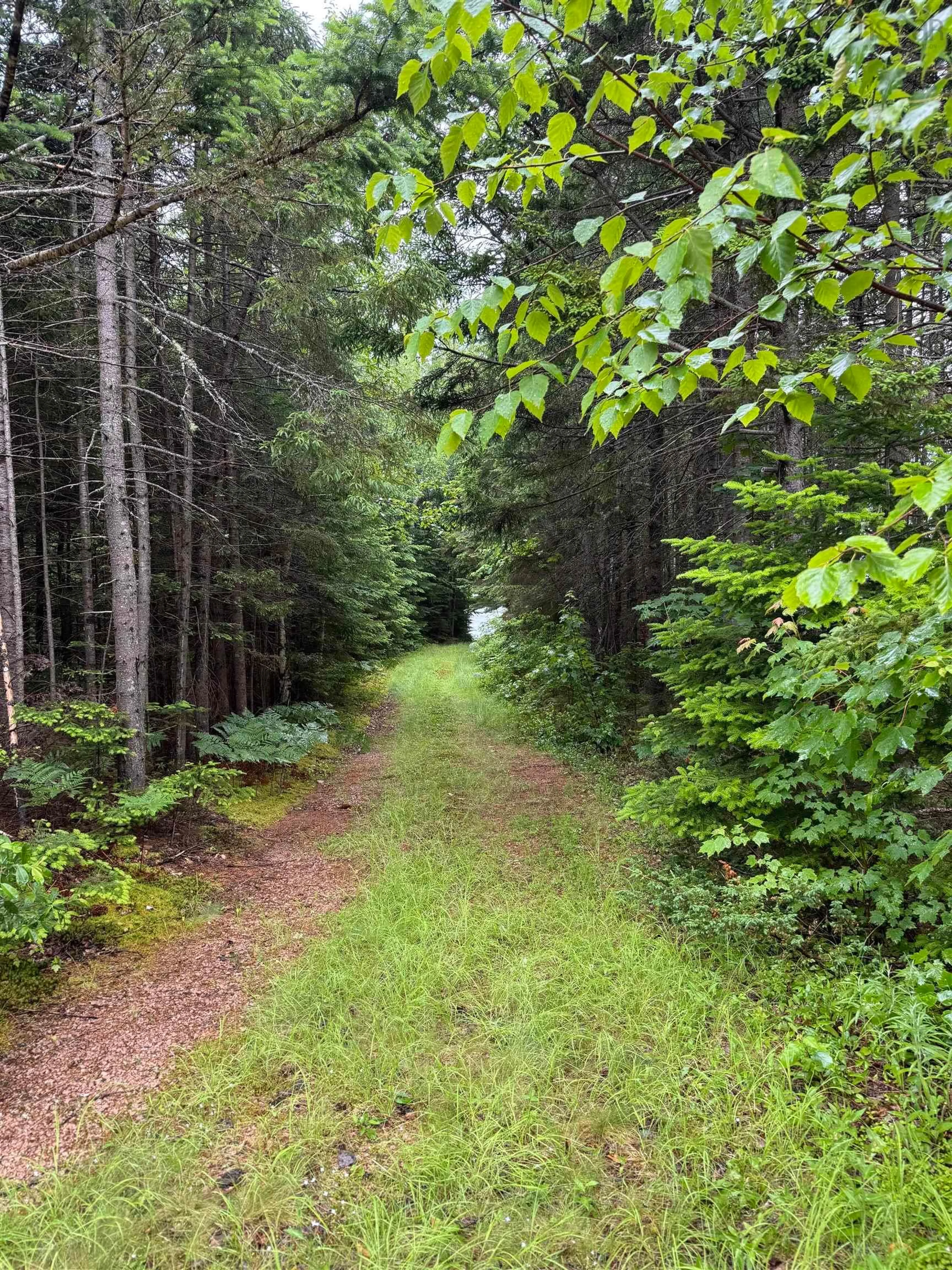 Unknown for 520 Falkenham Rd, East Dalhousie Nova Scotia B0R 1H0