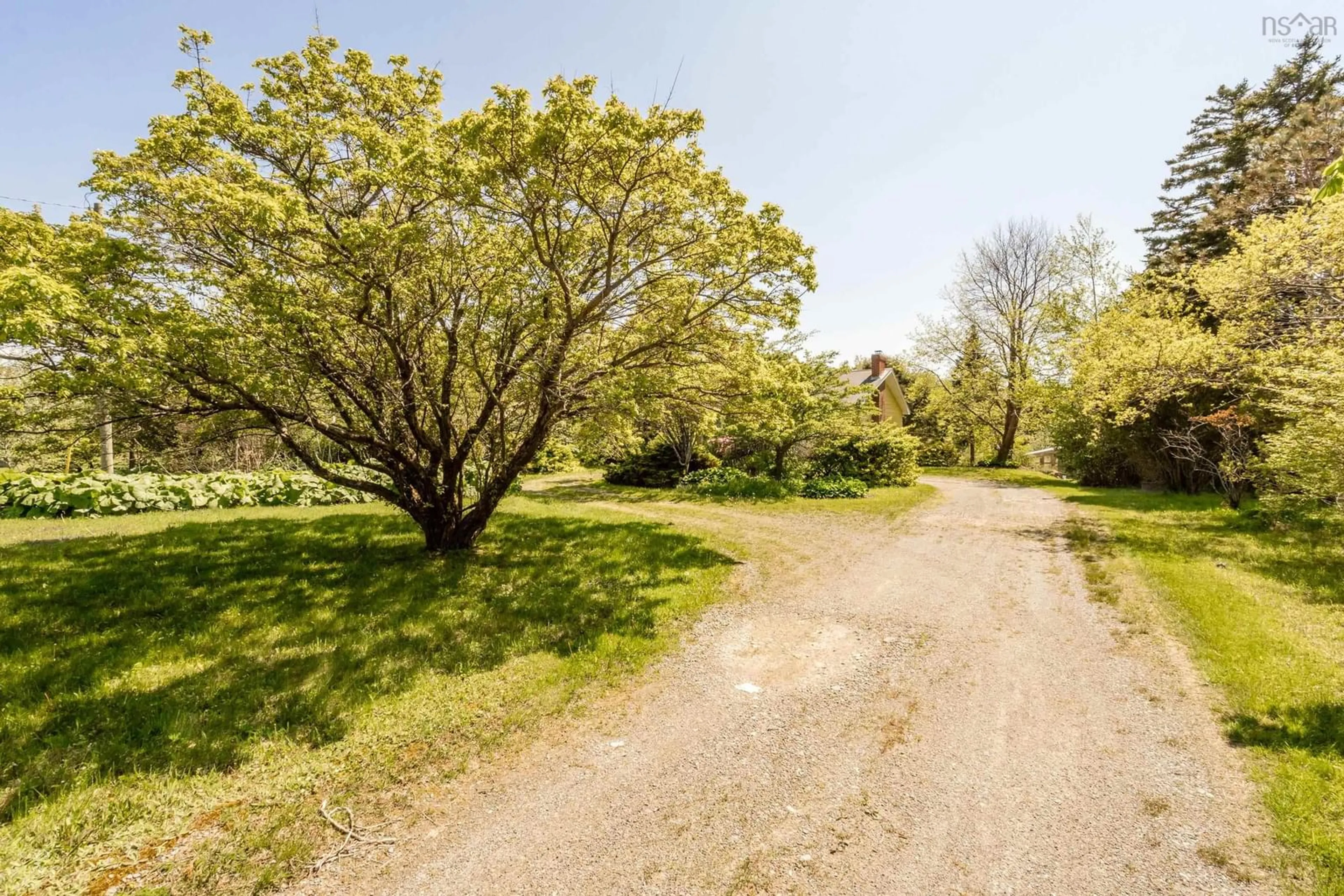A pic from outside/outdoor area/front of a property/back of a property/a pic from drone, forest/trees view for 402 Saulnierville Rd, Saulnierville Nova Scotia B0W 2Z0