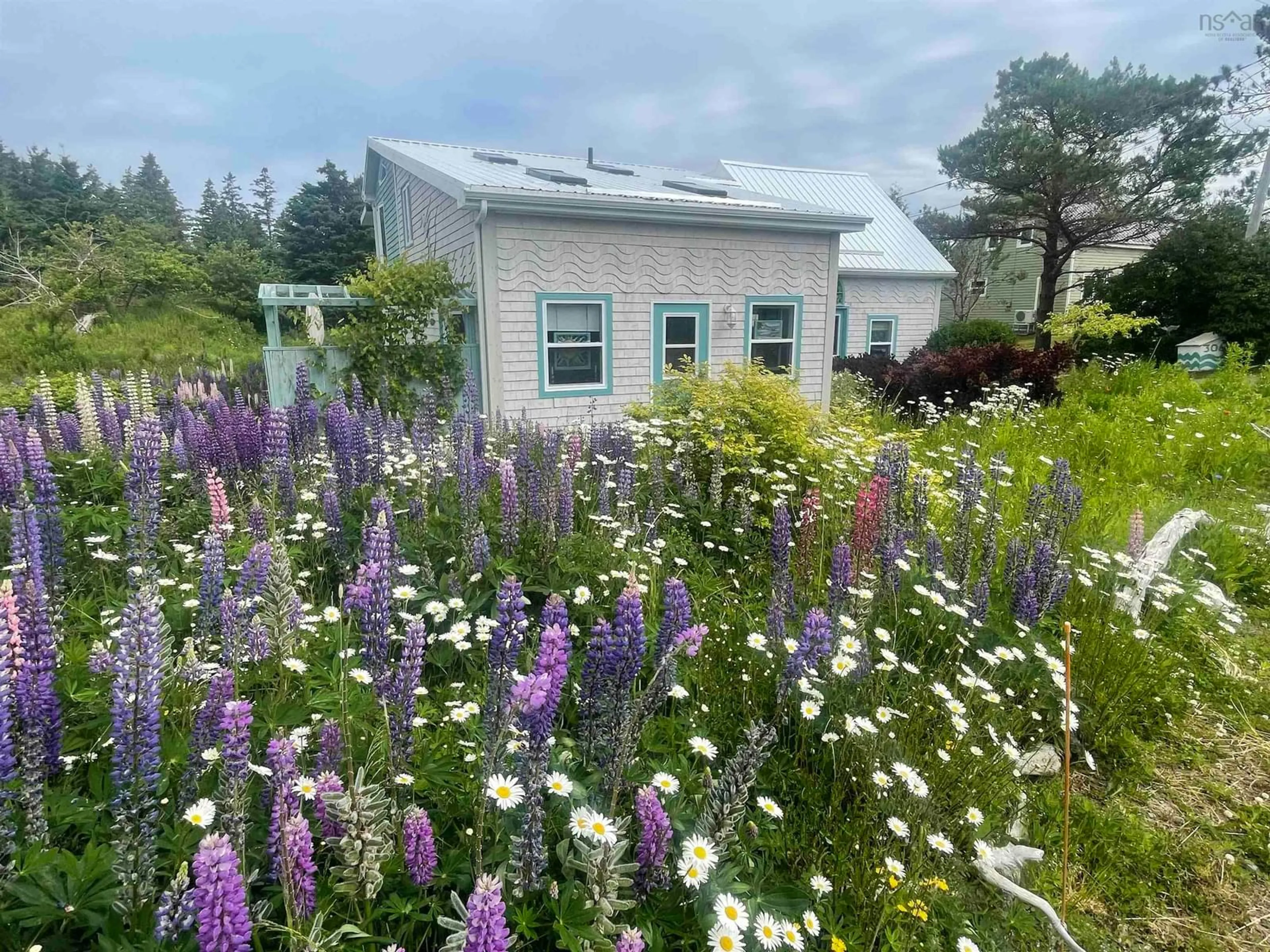 Shed for 3067 Highway 320, D'Escousse Nova Scotia B0E 1K0