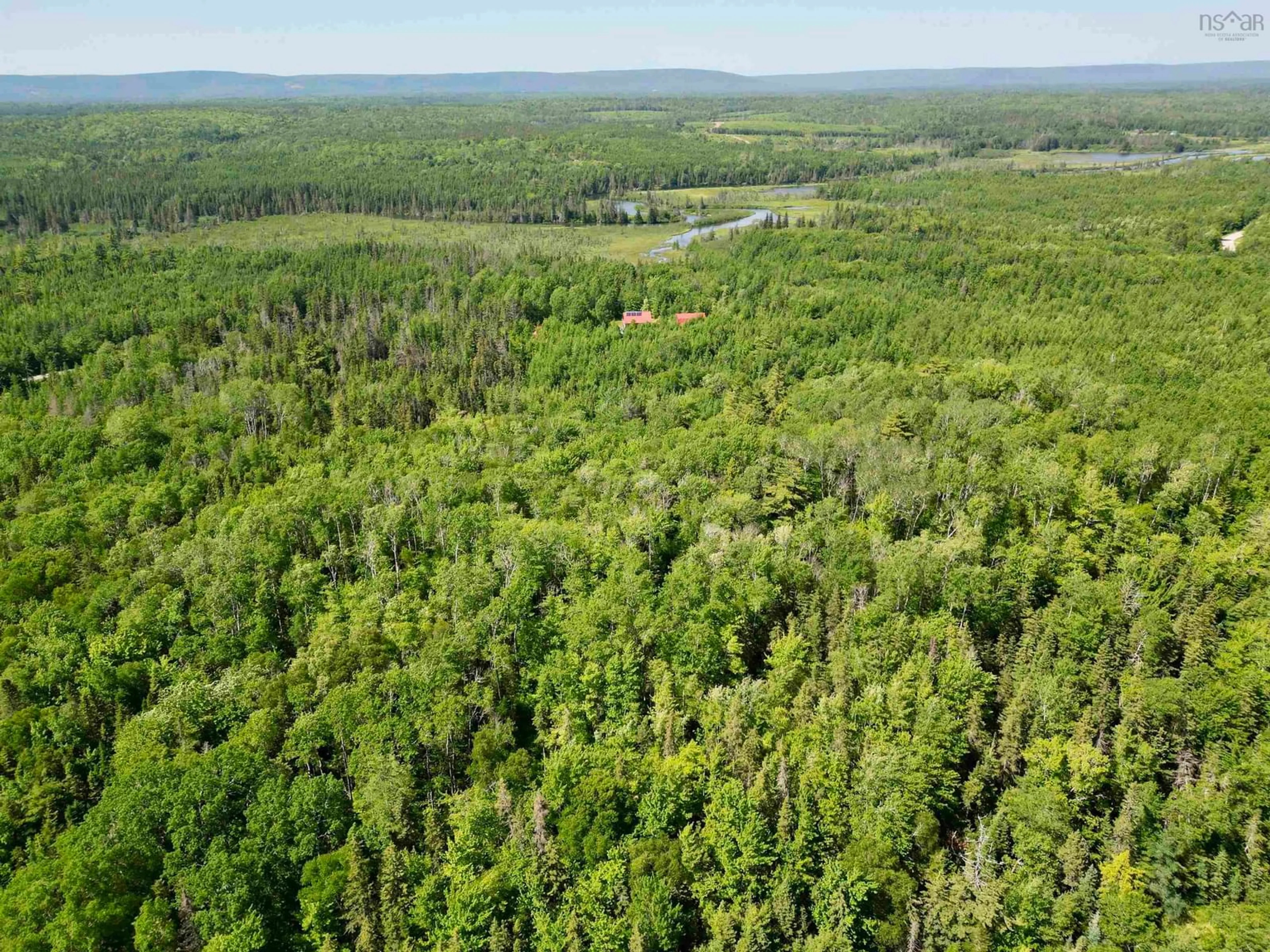 A pic from outside/outdoor area/front of a property/back of a property/a pic from drone, forest/trees view for 1926 Southside River Denys Rd, River Denys Nova Scotia B0E 2Y0
