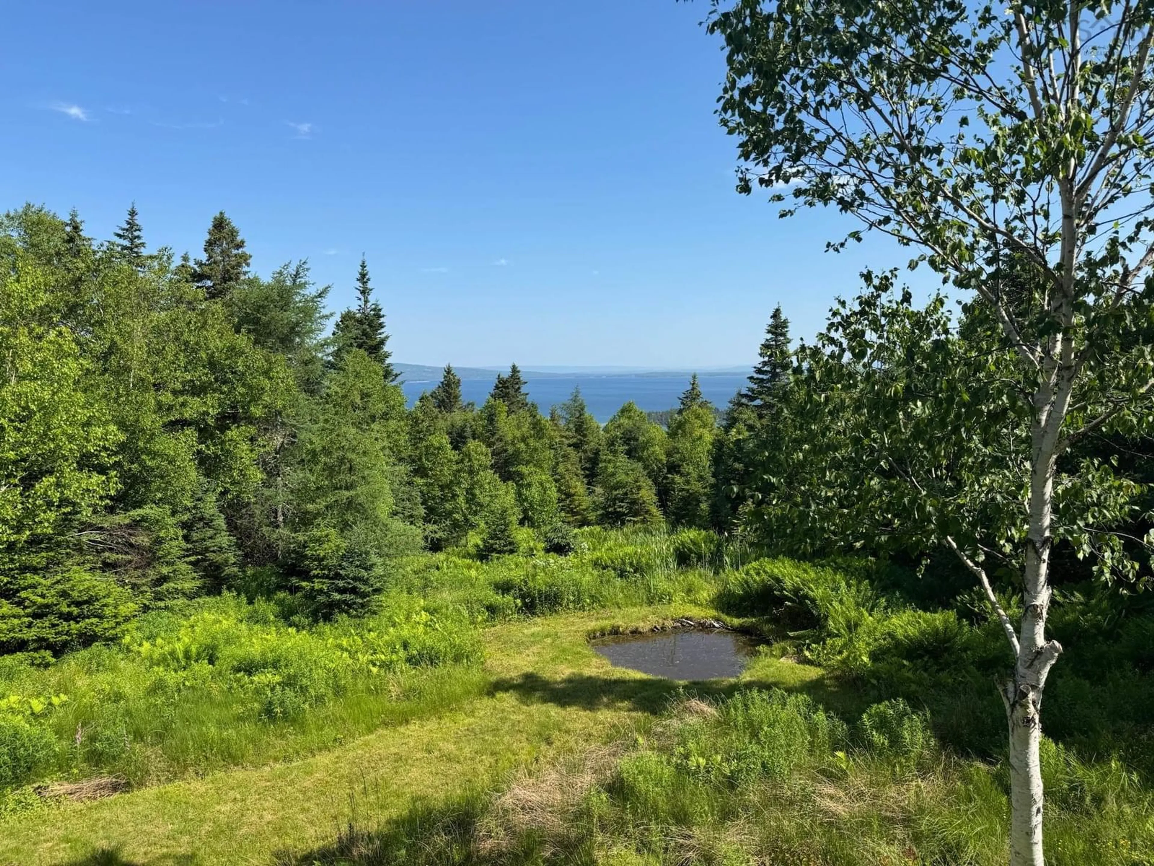 A pic from outside/outdoor area/front of a property/back of a property/a pic from drone, forest/trees view for 46 Bavaria Lane, The Points West Bay Nova Scotia B0E 3B0