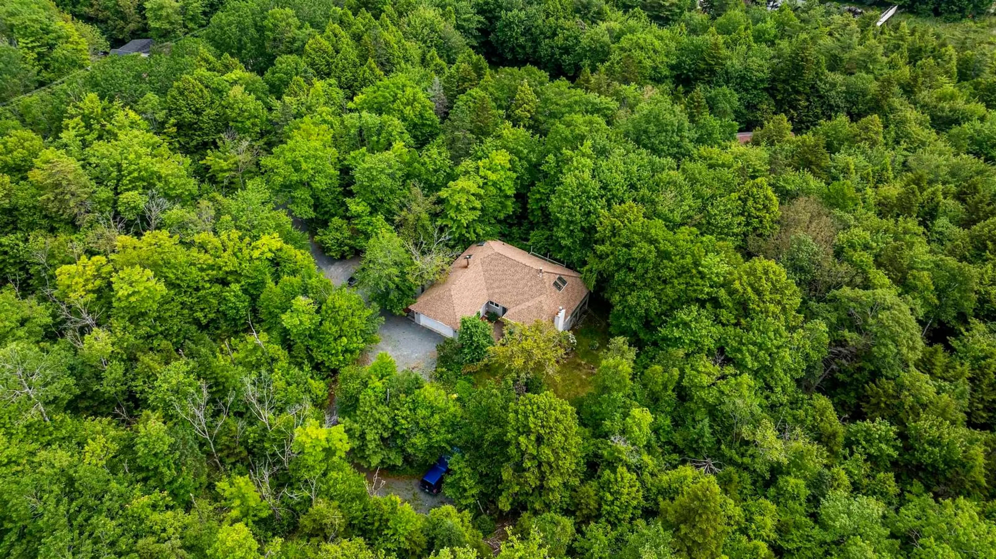 A pic from outside/outdoor area/front of a property/back of a property/a pic from drone, forest/trees view for 777 Cobequid Rd, Lower Sackville Nova Scotia B4C 4A2