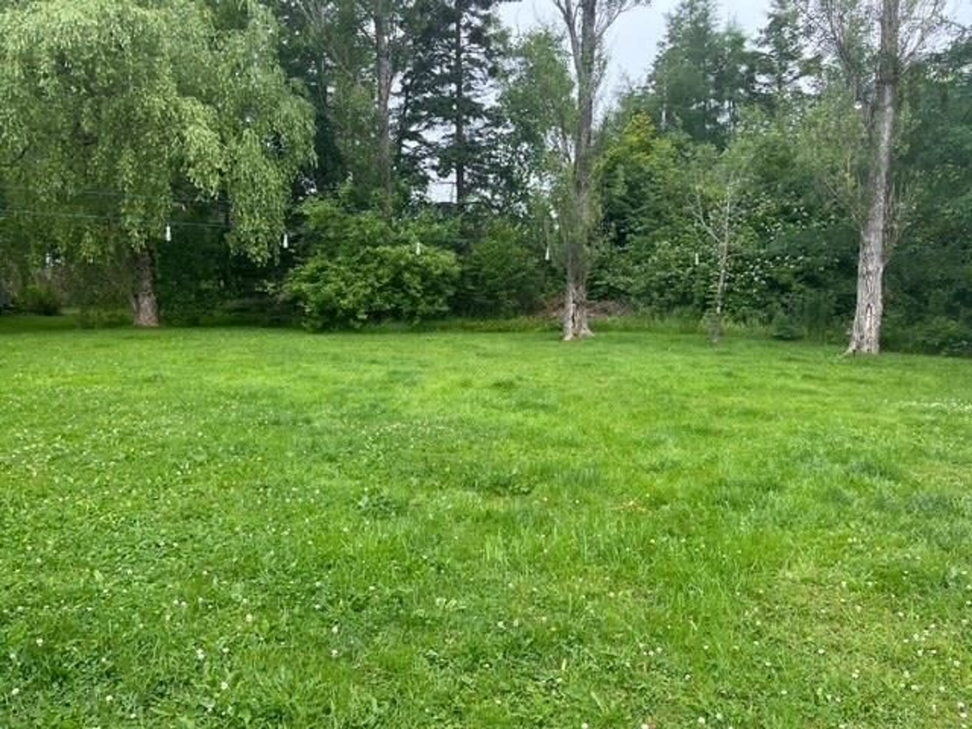 A pic from outside/outdoor area/front of a property/back of a property/a pic from drone, forest/trees view for 82 High St, Baddeck Nova Scotia B0E 1B0