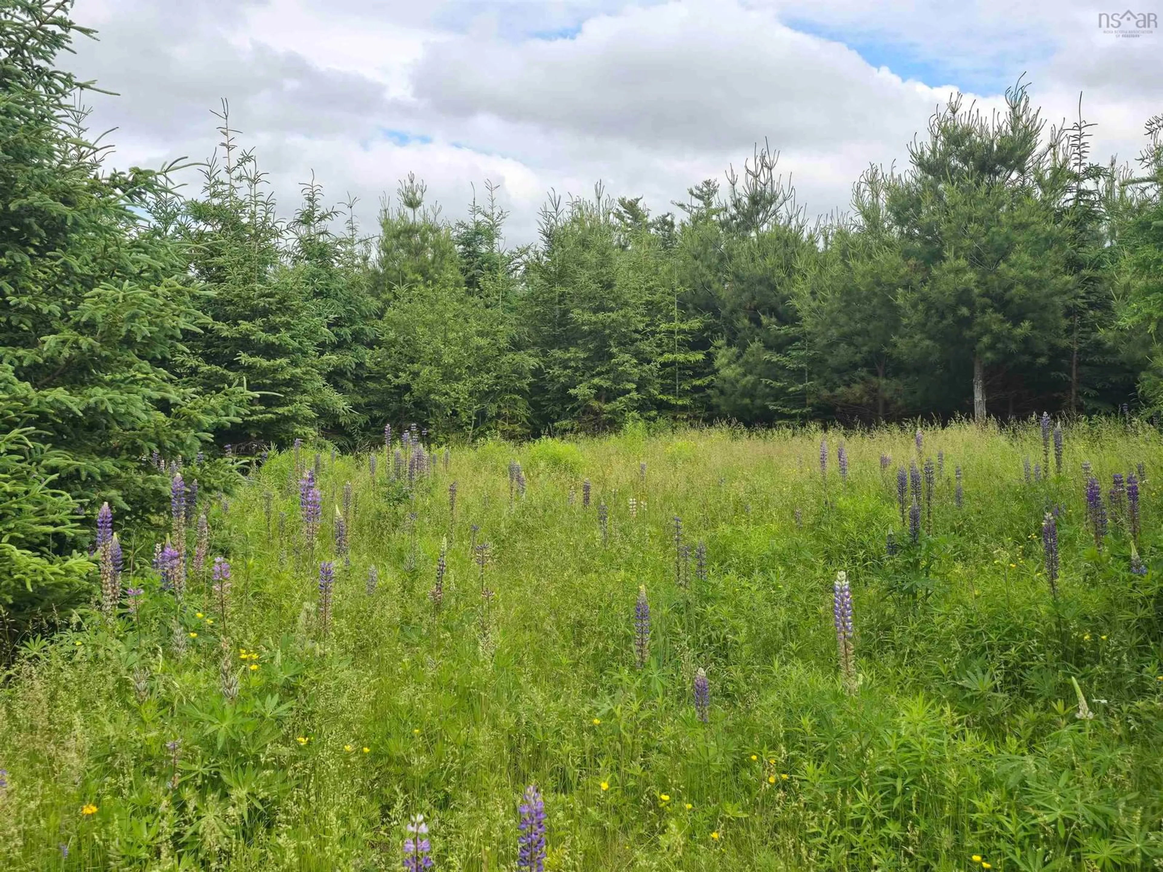 Blurry image for Lot 6 41 Brule Shore Rd, Barrachois Nova Scotia B0K 1V0