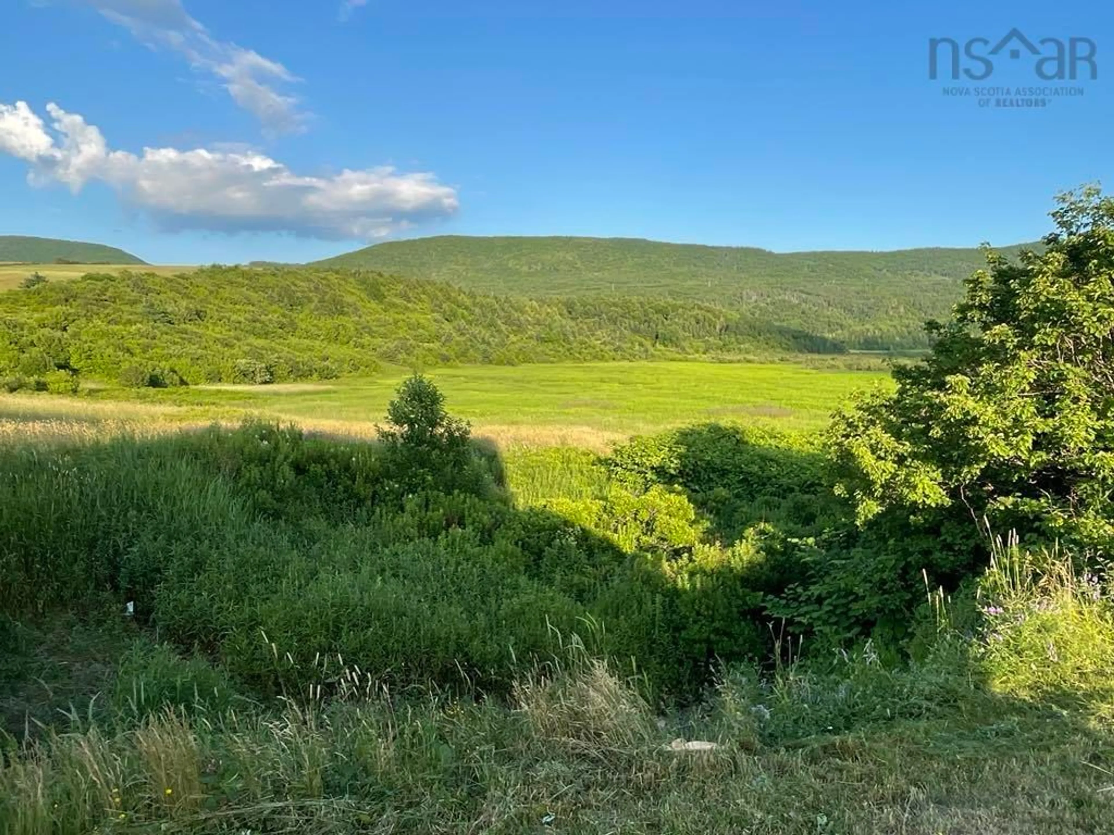 A pic from outside/outdoor area/front of a property/back of a property/a pic from drone, forest/trees view for 84 5308 Rd, St. Joseph du Moine Nova Scotia B0E 3A0