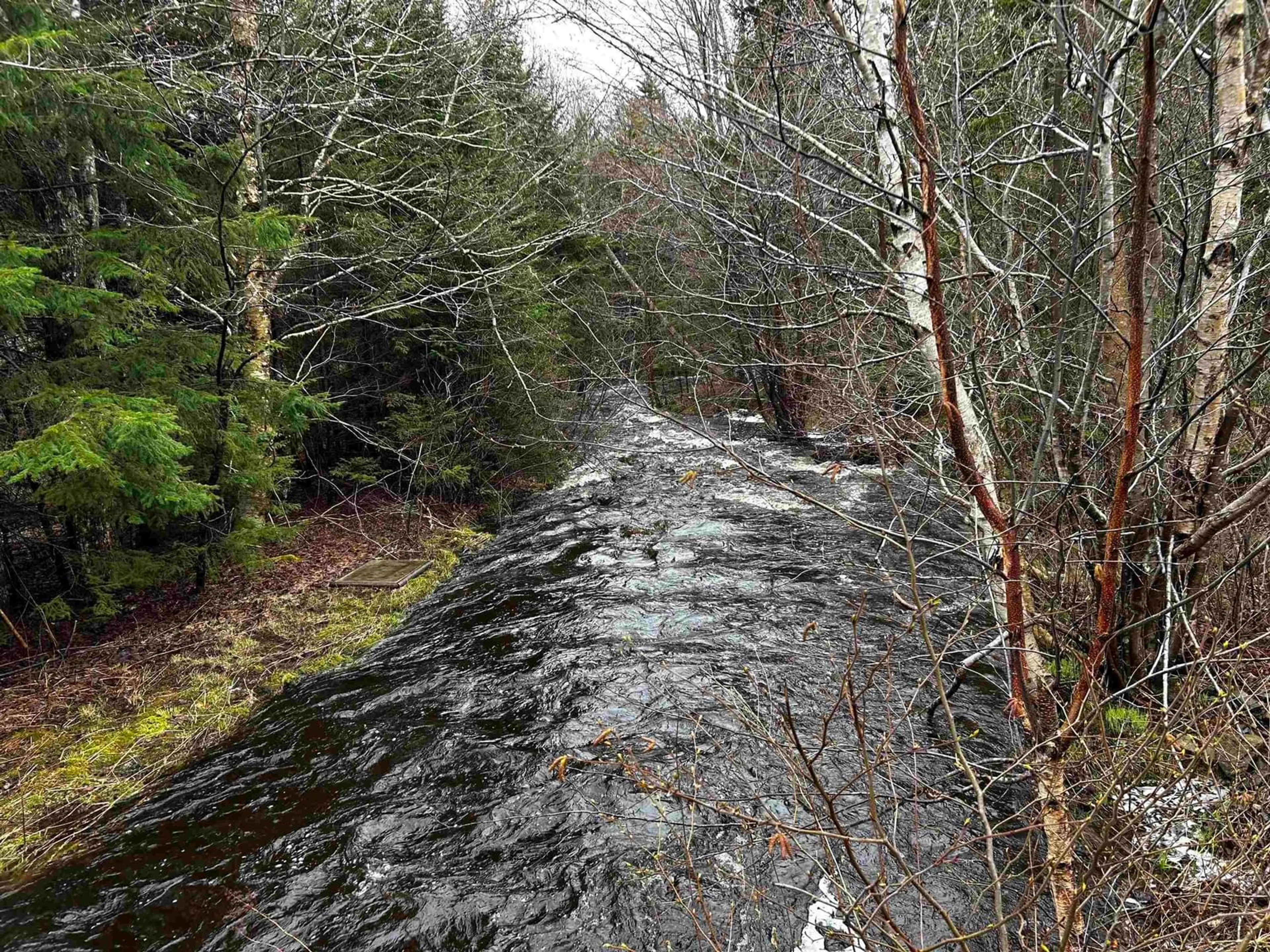 Blurry image for 8960 Highway 101, Brighton Nova Scotia B0V 1A0