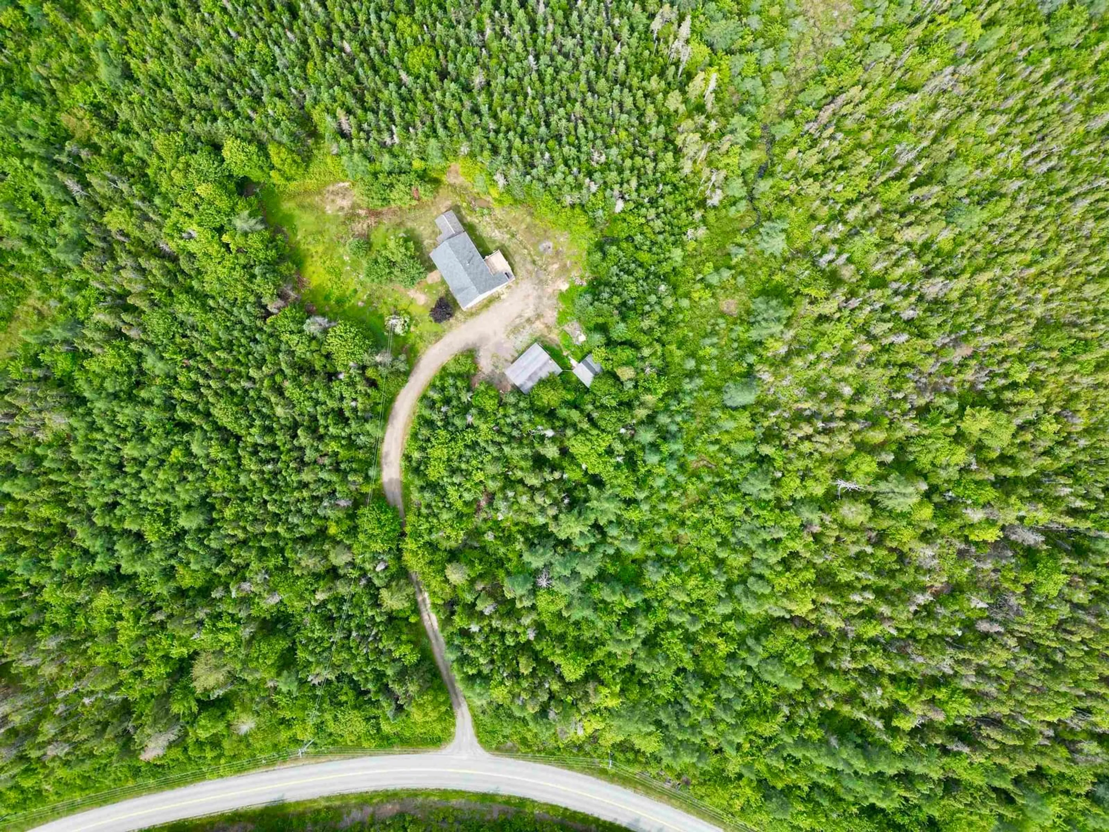 A pic from outside/outdoor area/front of a property/back of a property/a pic from drone, forest/trees view for 805 Grandique Rd, Arichat Nova Scotia B0E 1A0