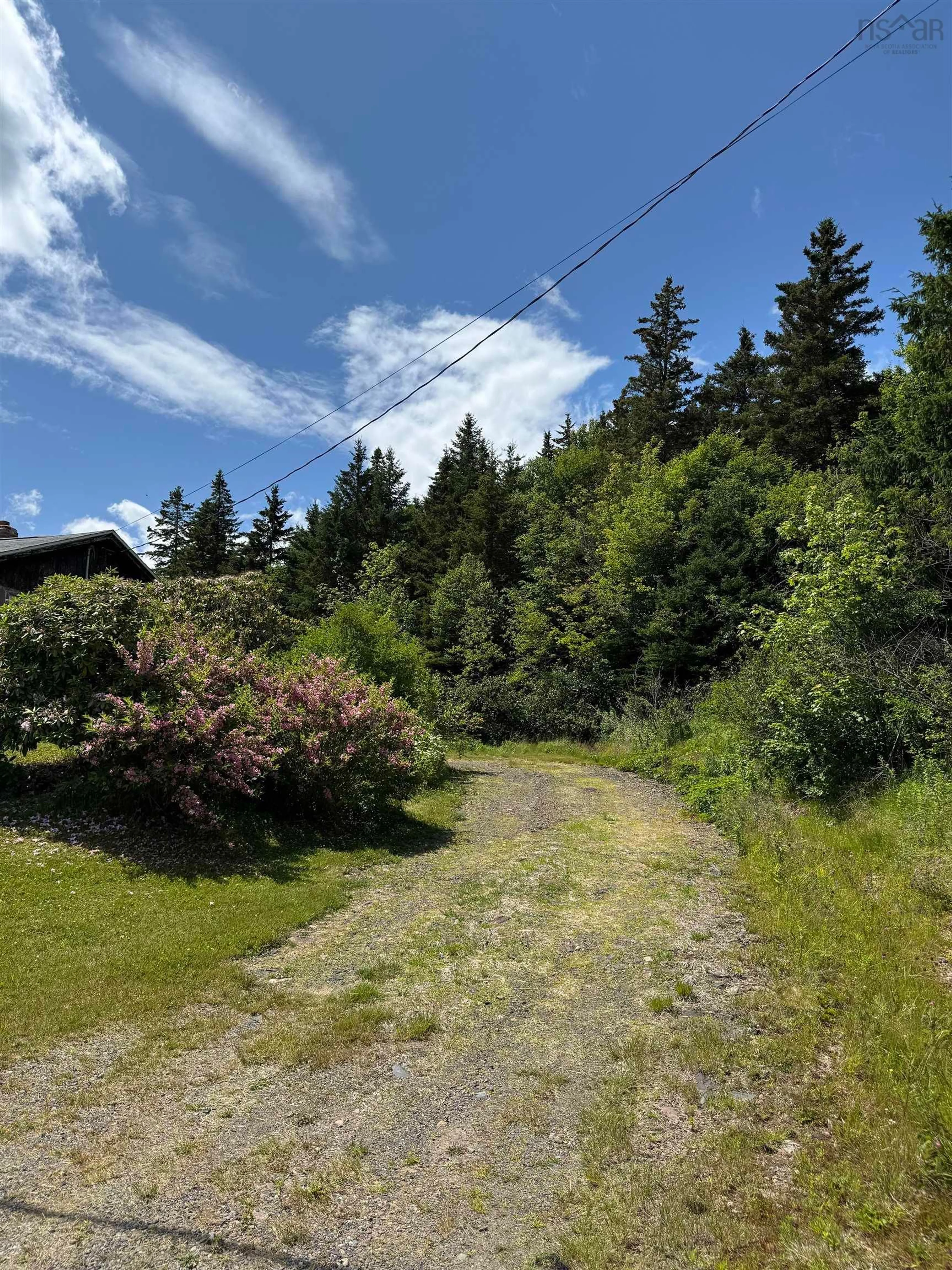 A pic from outside/outdoor area/front of a property/back of a property/a pic from drone, forest/trees view for 9273 Highway 16 Hwy, Cooks Cove Nova Scotia B0H 1N0