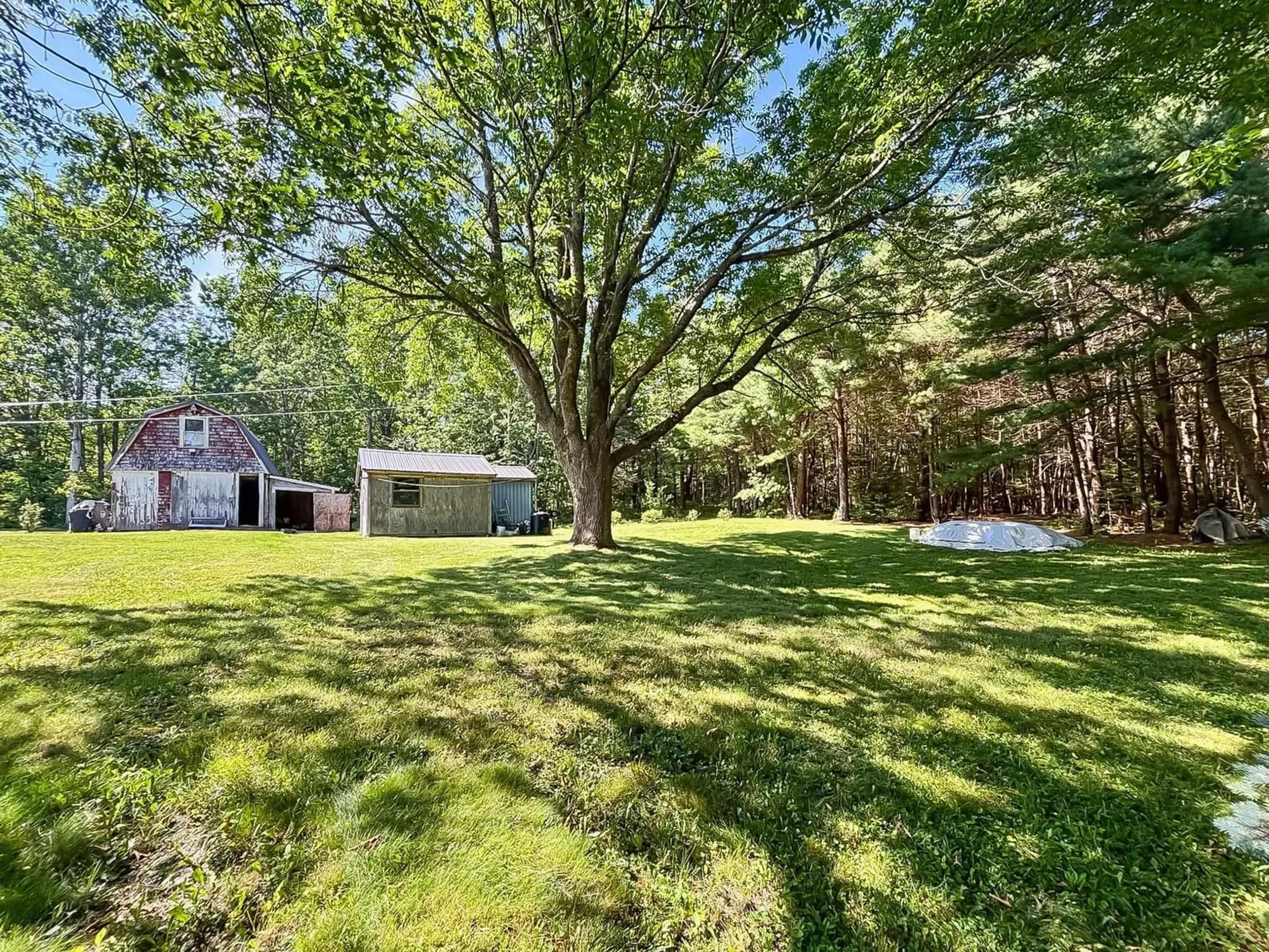 A pic from outside/outdoor area/front of a property/back of a property/a pic from drone, forest/trees view for 346 Lower Branch Rd, Lower Branch Nova Scotia B4V 4M1