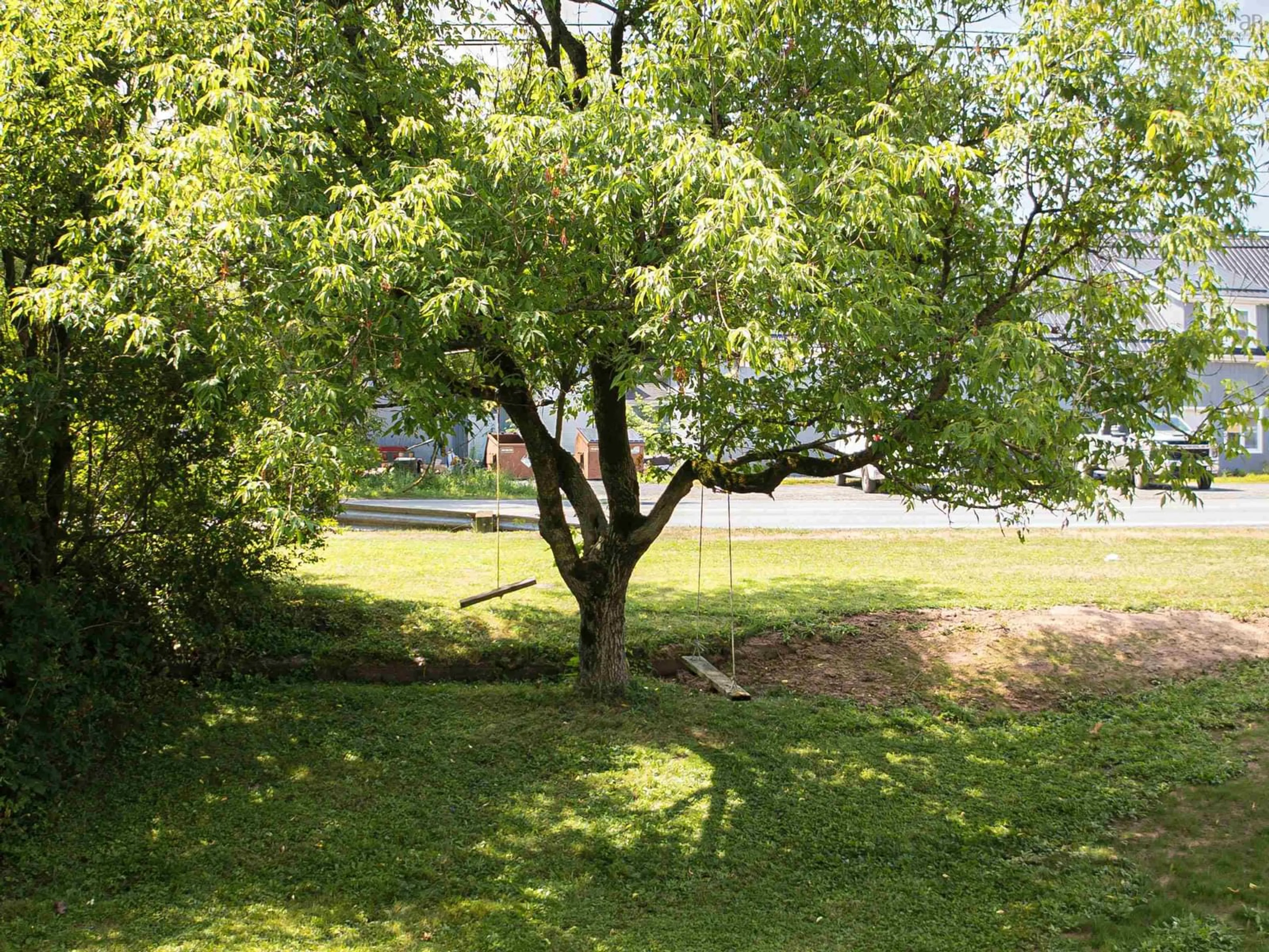 A pic from outside/outdoor area/front of a property/back of a property/a pic from drone, forest/trees view for 2057 Highway 2, Milford Nova Scotia B0N 1Y0