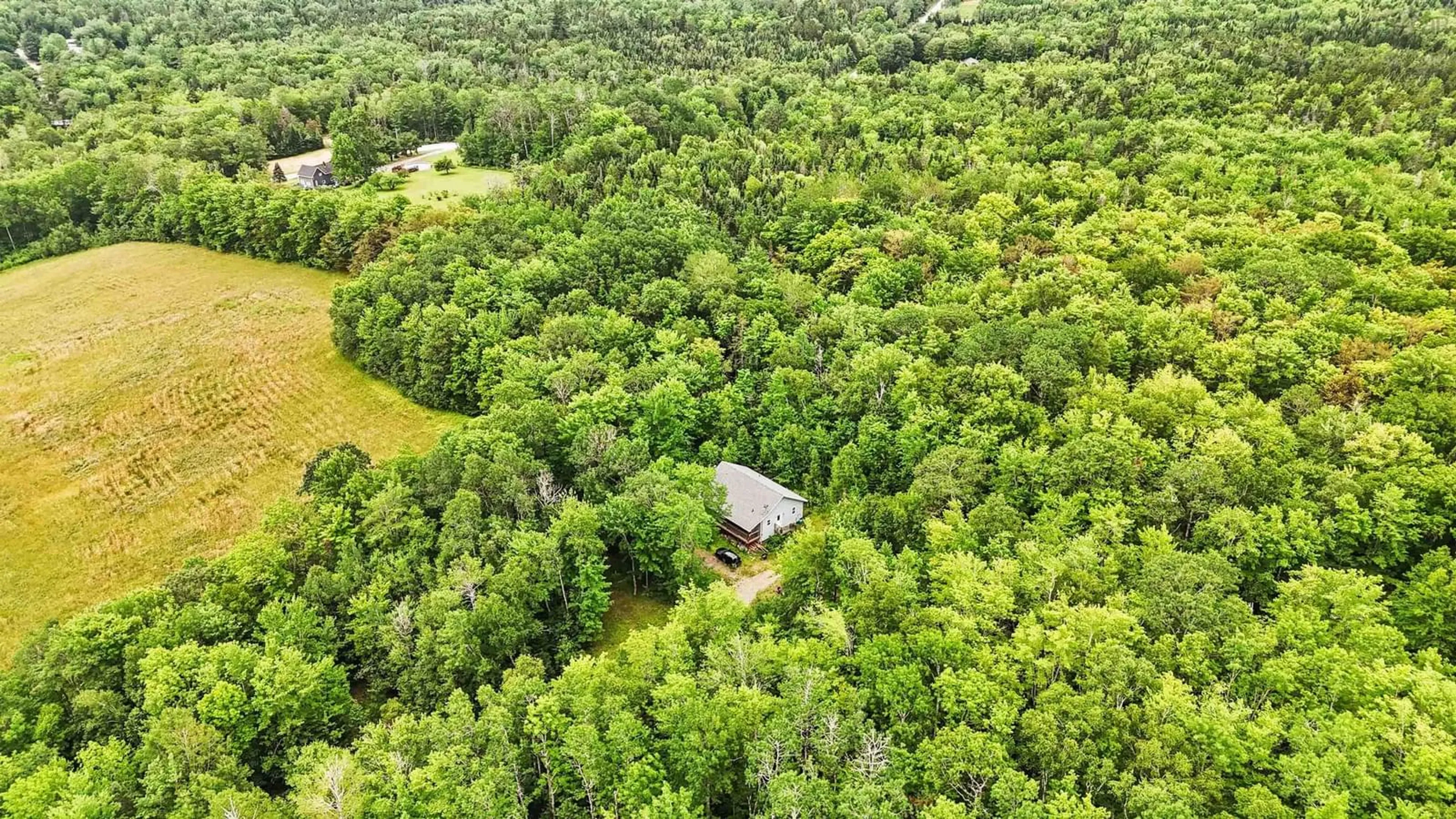 A pic from outside/outdoor area/front of a property/back of a property/a pic from drone, forest/trees view for 1901 Newburne Rd, Maplewood Nova Scotia B0R 1E0