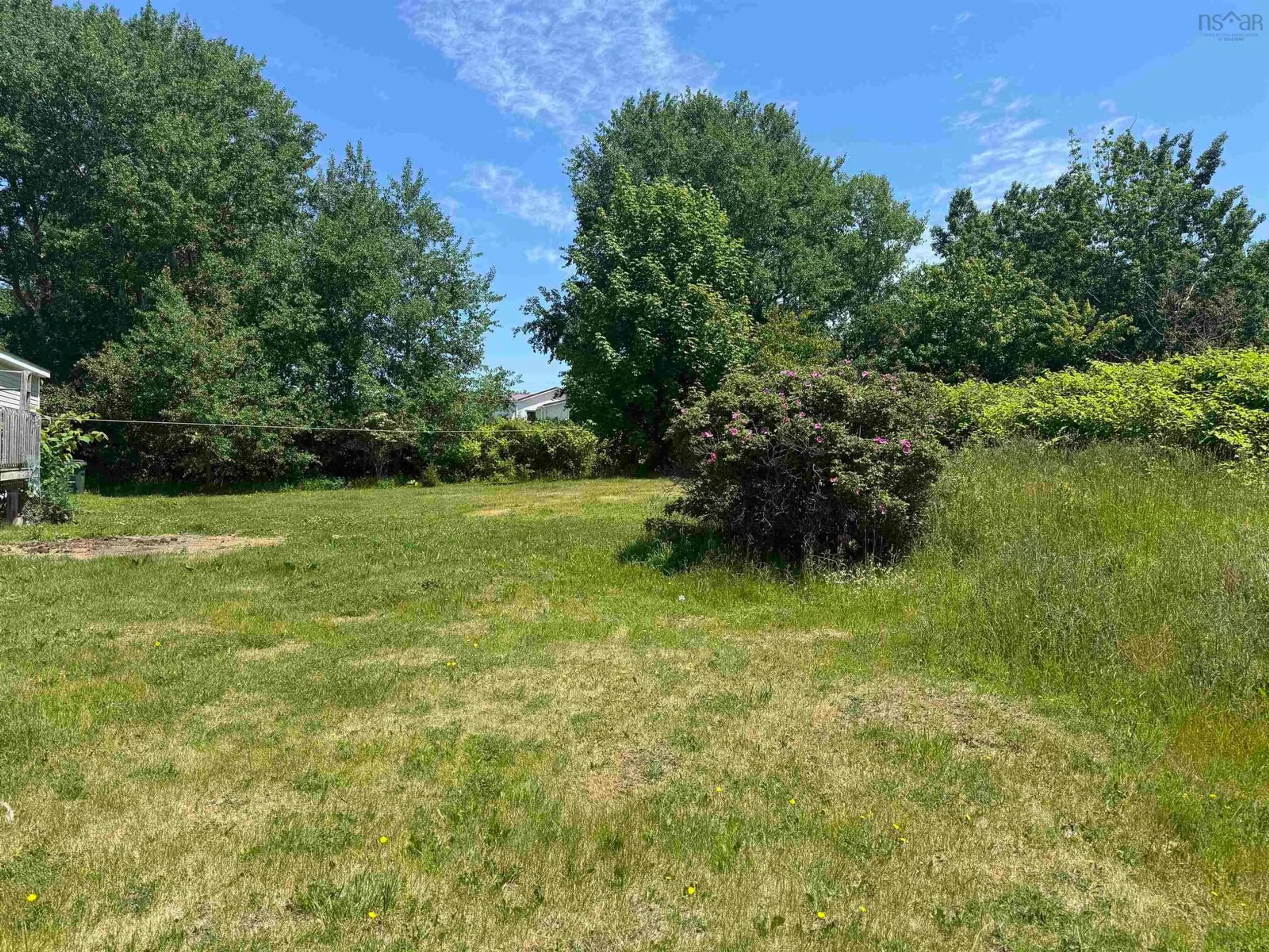 A pic from outside/outdoor area/front of a property/back of a property/a pic from drone, forest/trees view for 234 Tobin Rd, Sydney Mines Nova Scotia B1V 2X8