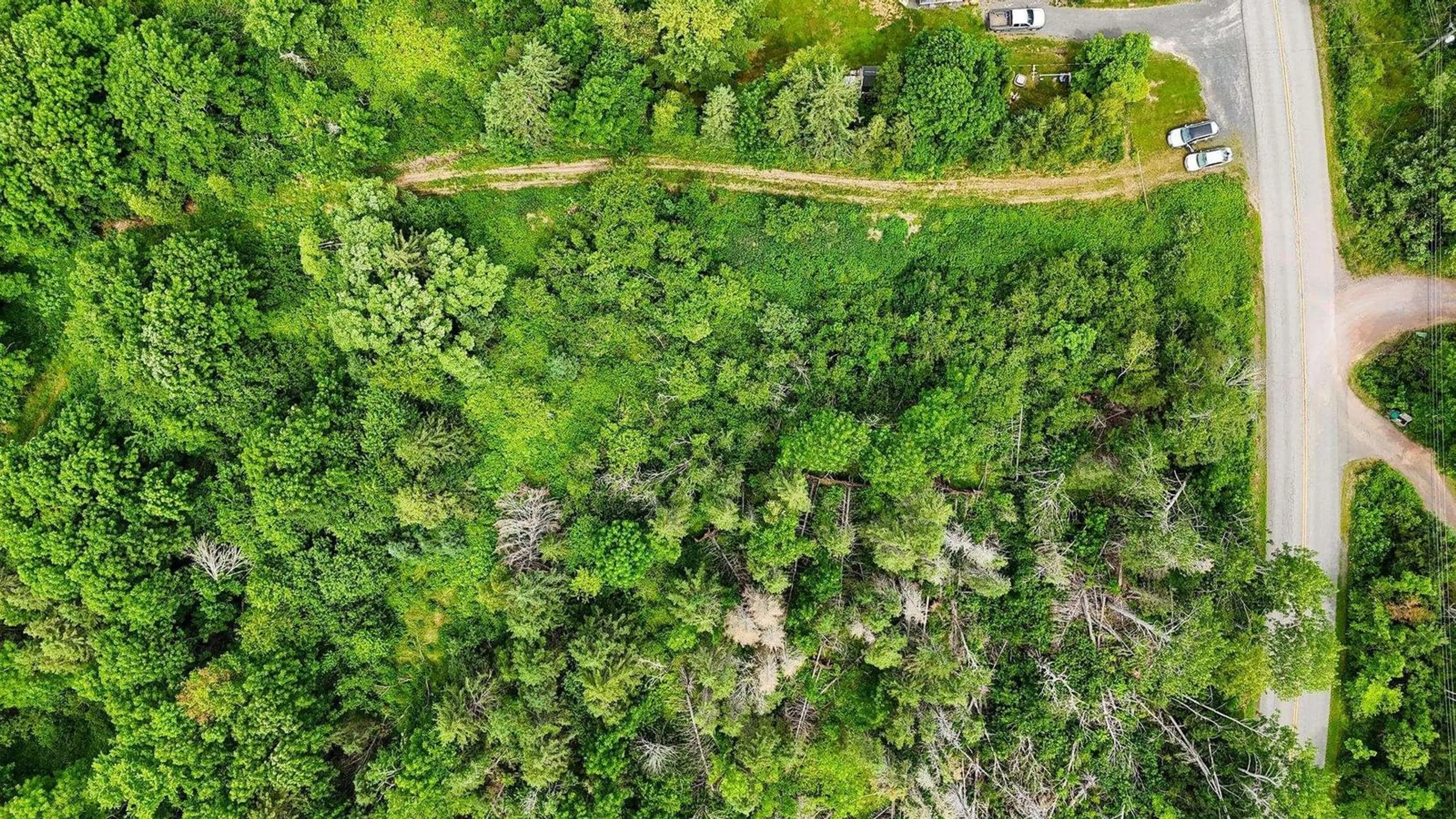 A pic from outside/outdoor area/front of a property/back of a property/a pic from drone, forest/trees view for Lot River Road, Plymouth Nova Scotia B2H 5C5