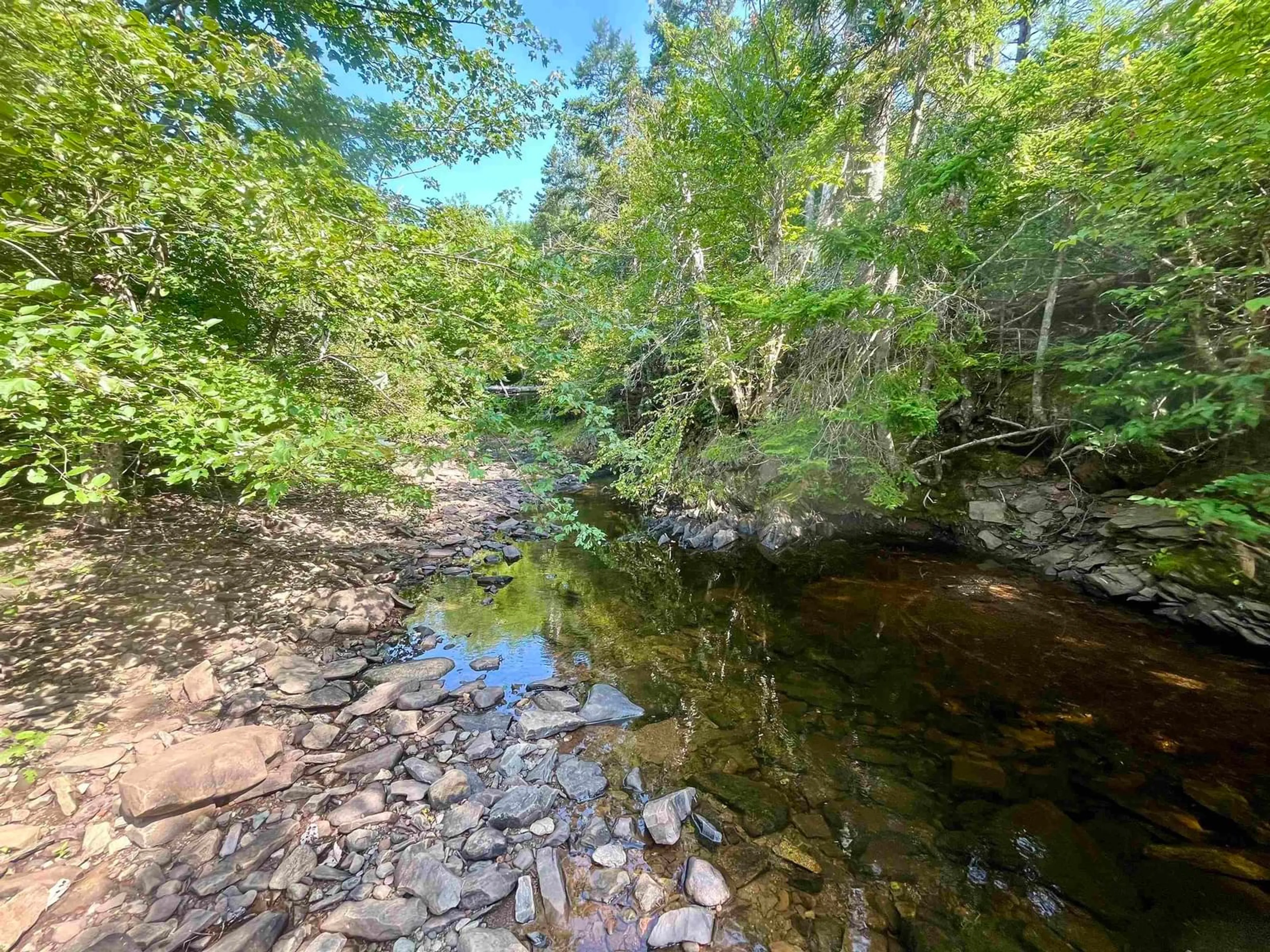 A pic from outside/outdoor area/front of a property/back of a property/a pic from drone, forest/trees view for 1520 Back Rd, River Bourgeois Nova Scotia B0E 2X0