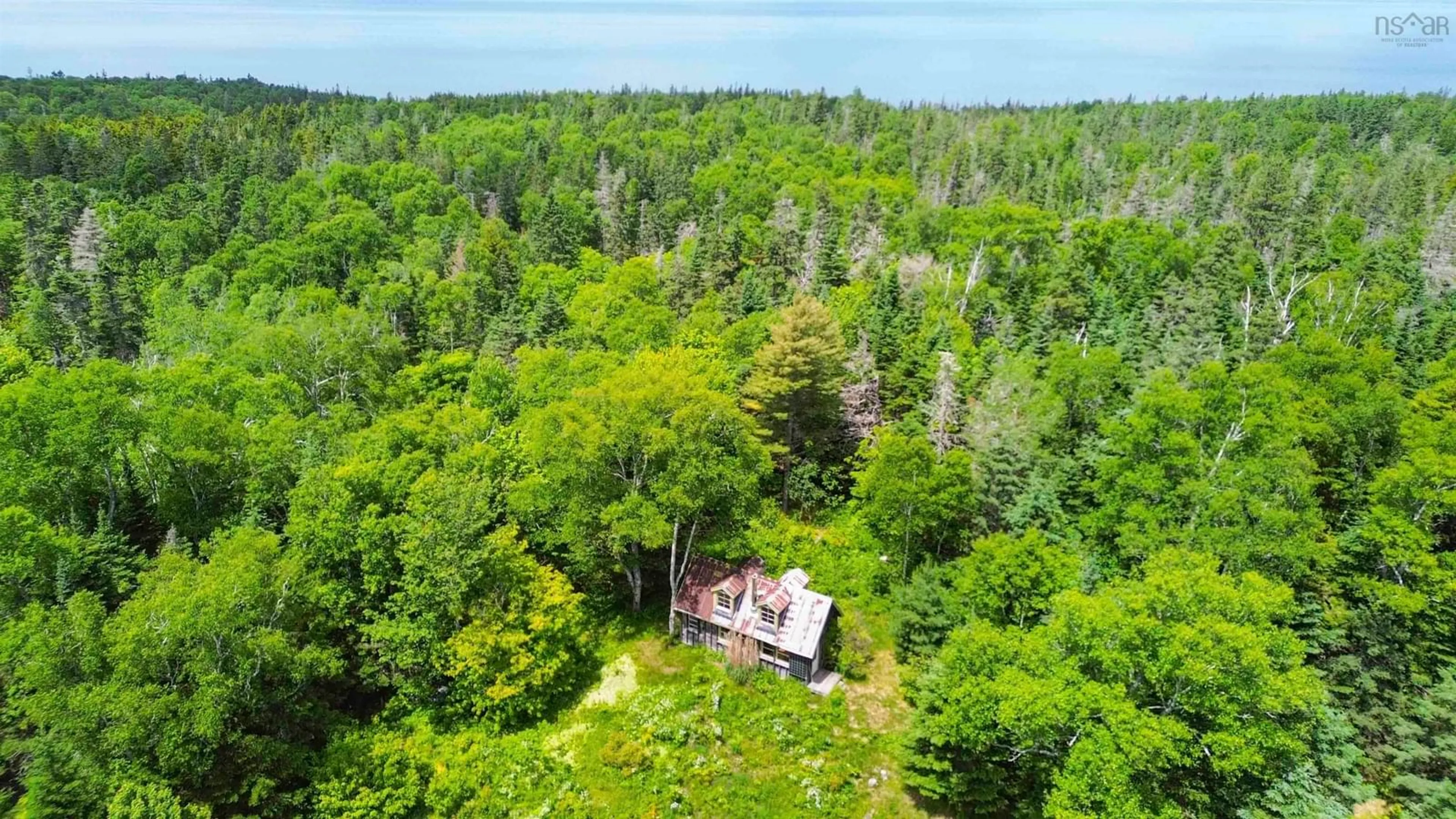 A pic from outside/outdoor area/front of a property/back of a property/a pic from drone, forest/trees view for Baxters Harbour Rd, Baxters Harbour Nova Scotia B0P 1H0