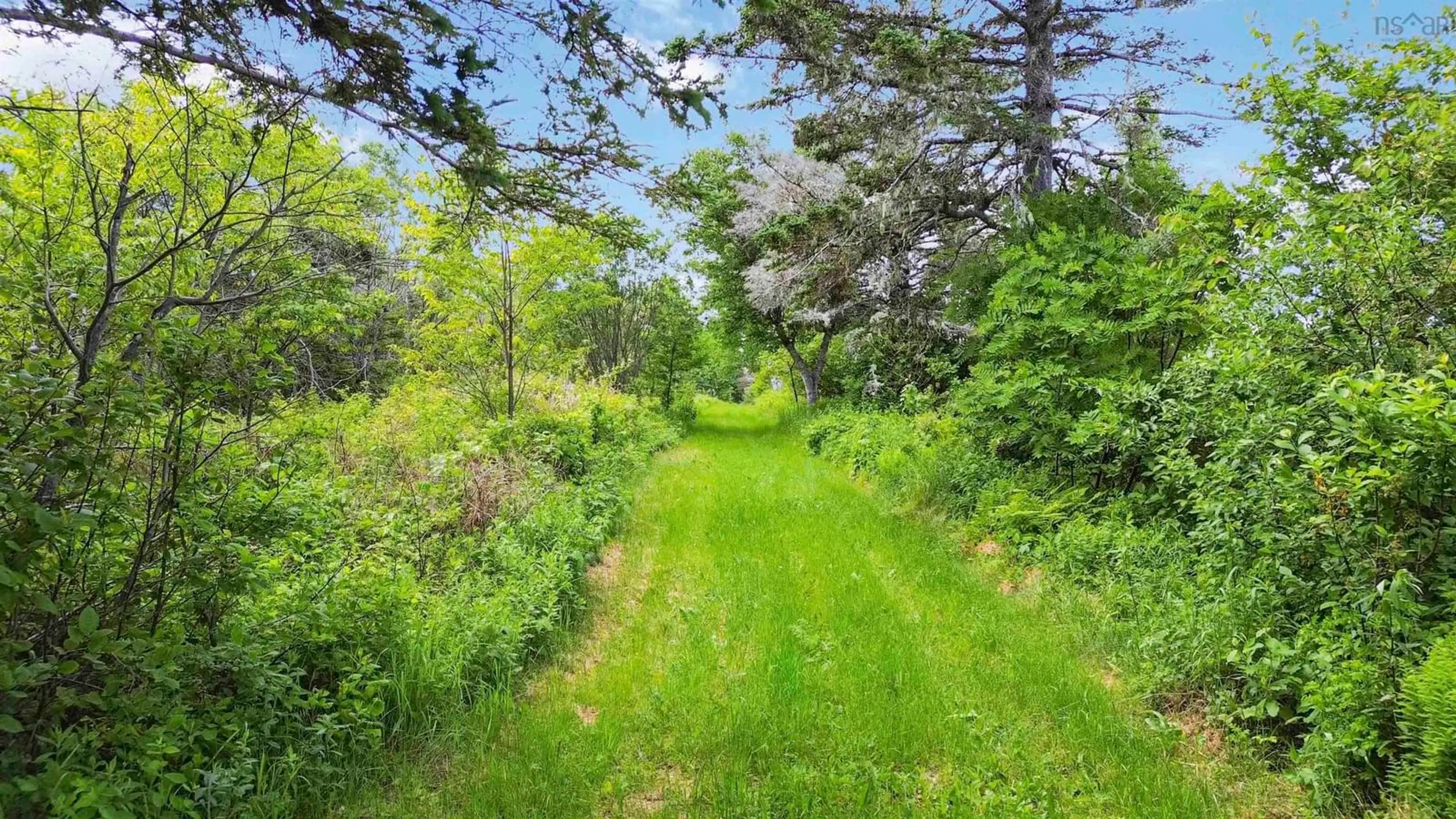 A pic from outside/outdoor area/front of a property/back of a property/a pic from drone, forest/trees view for Baxters Harbour Rd, Baxters Harbour Nova Scotia B0P 1H0