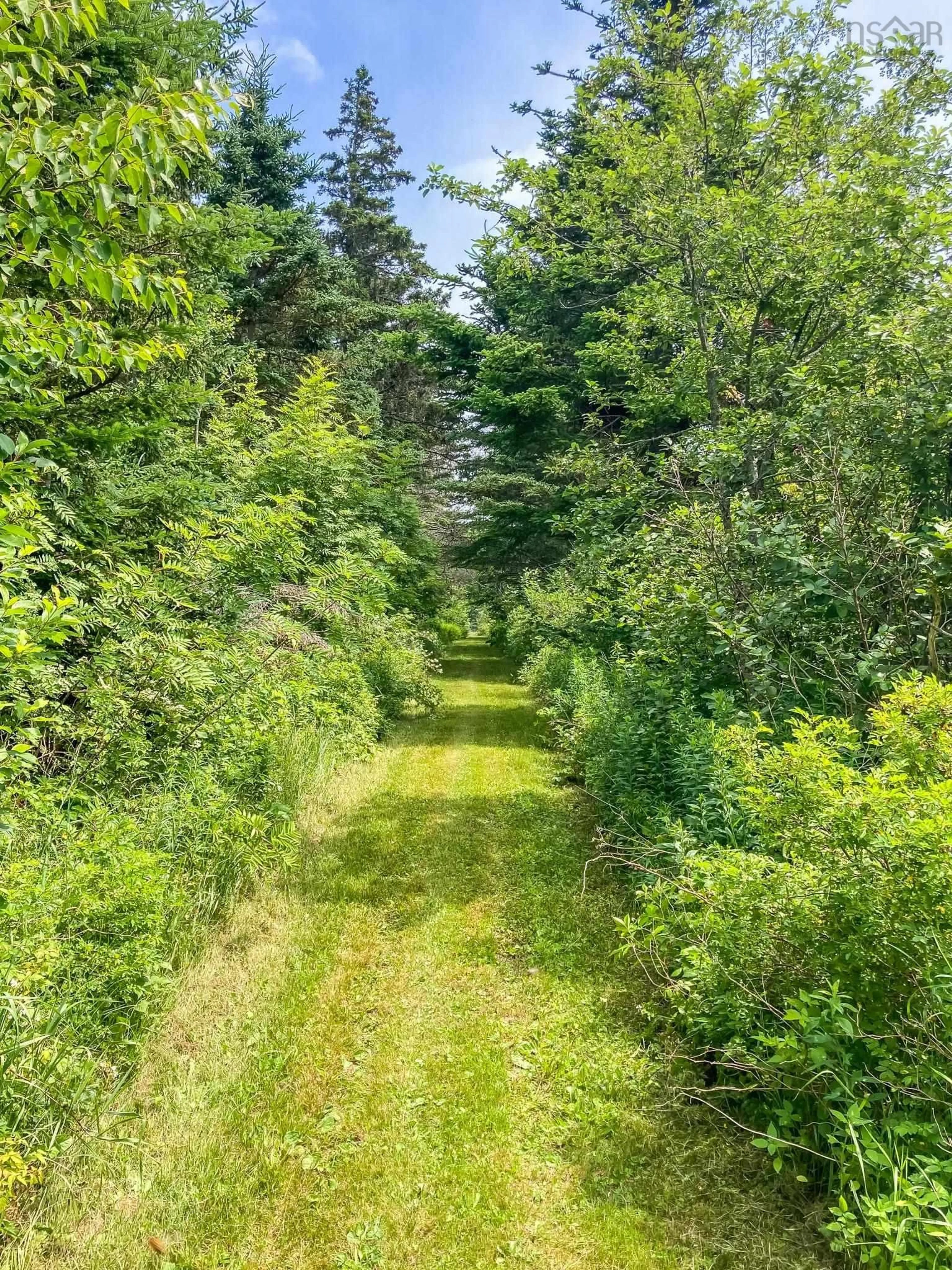 A pic from outside/outdoor area/front of a property/back of a property/a pic from drone, forest/trees view for Baxters Harbour Rd, Baxters Harbour Nova Scotia B0P 1H0