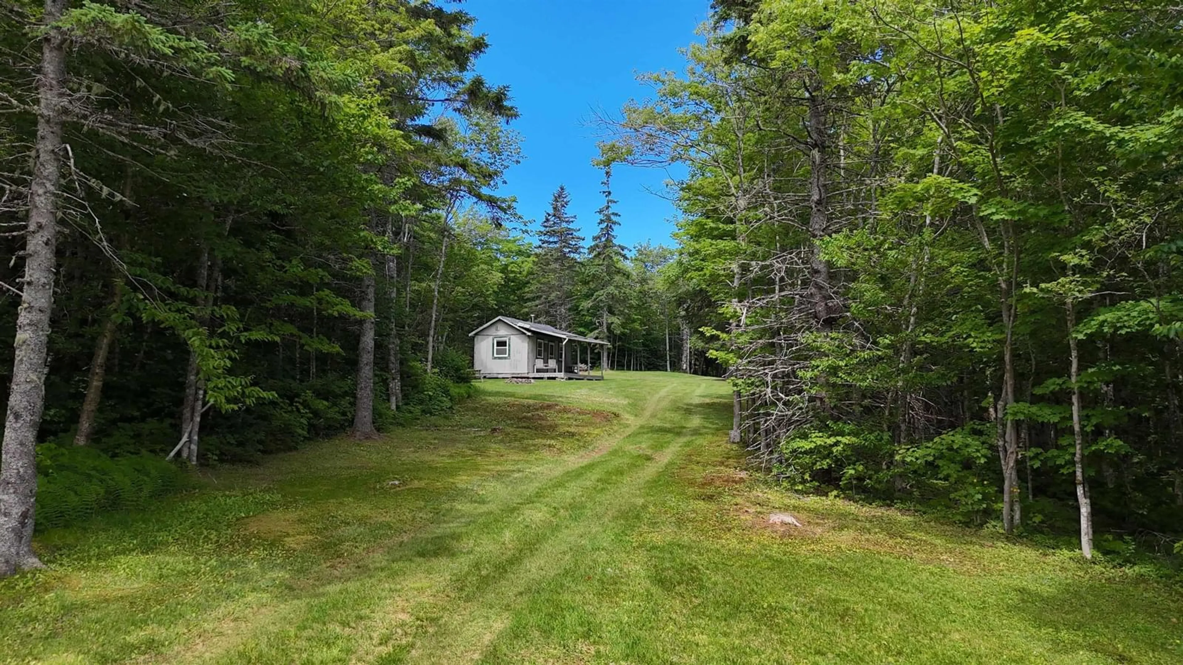 A pic from outside/outdoor area/front of a property/back of a property/a pic from drone, forest/trees view for 811 River Denys Mountain Rd, Glendale Nova Scotia B0E 2Y0