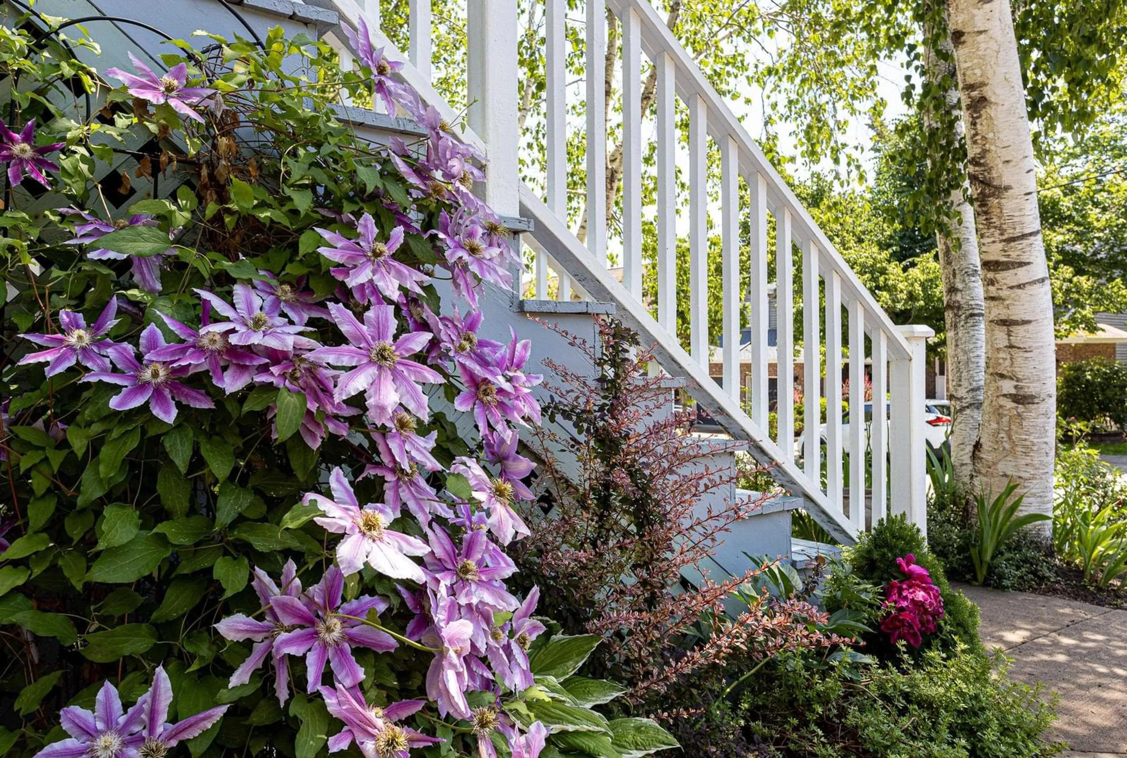 Stairs for 213 Spinnaker Dr, Halifax Nova Scotia B3N 3C3