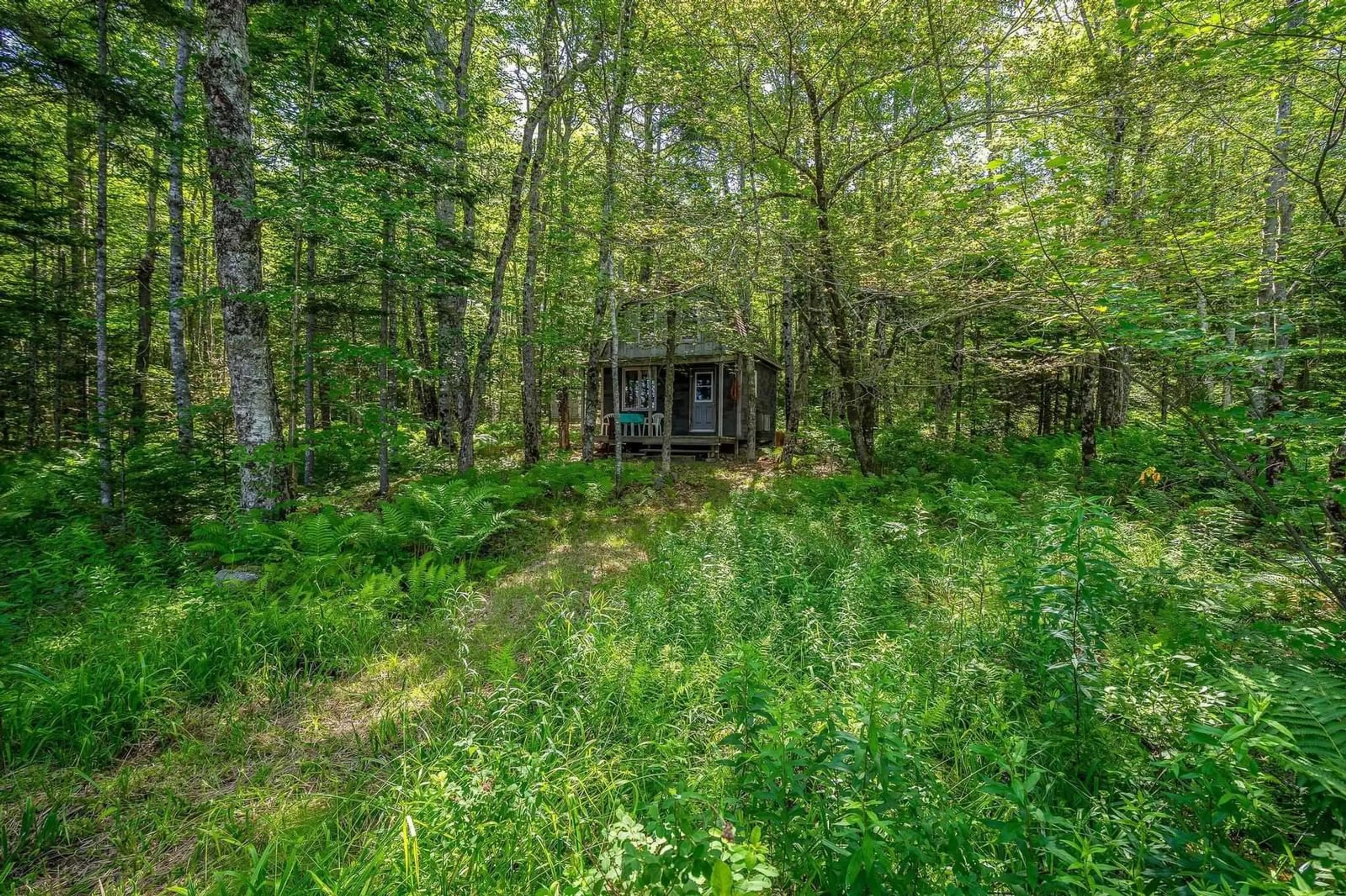 Shed for 241 Bill Berry Rd, Princedale Nova Scotia B0S 1G0