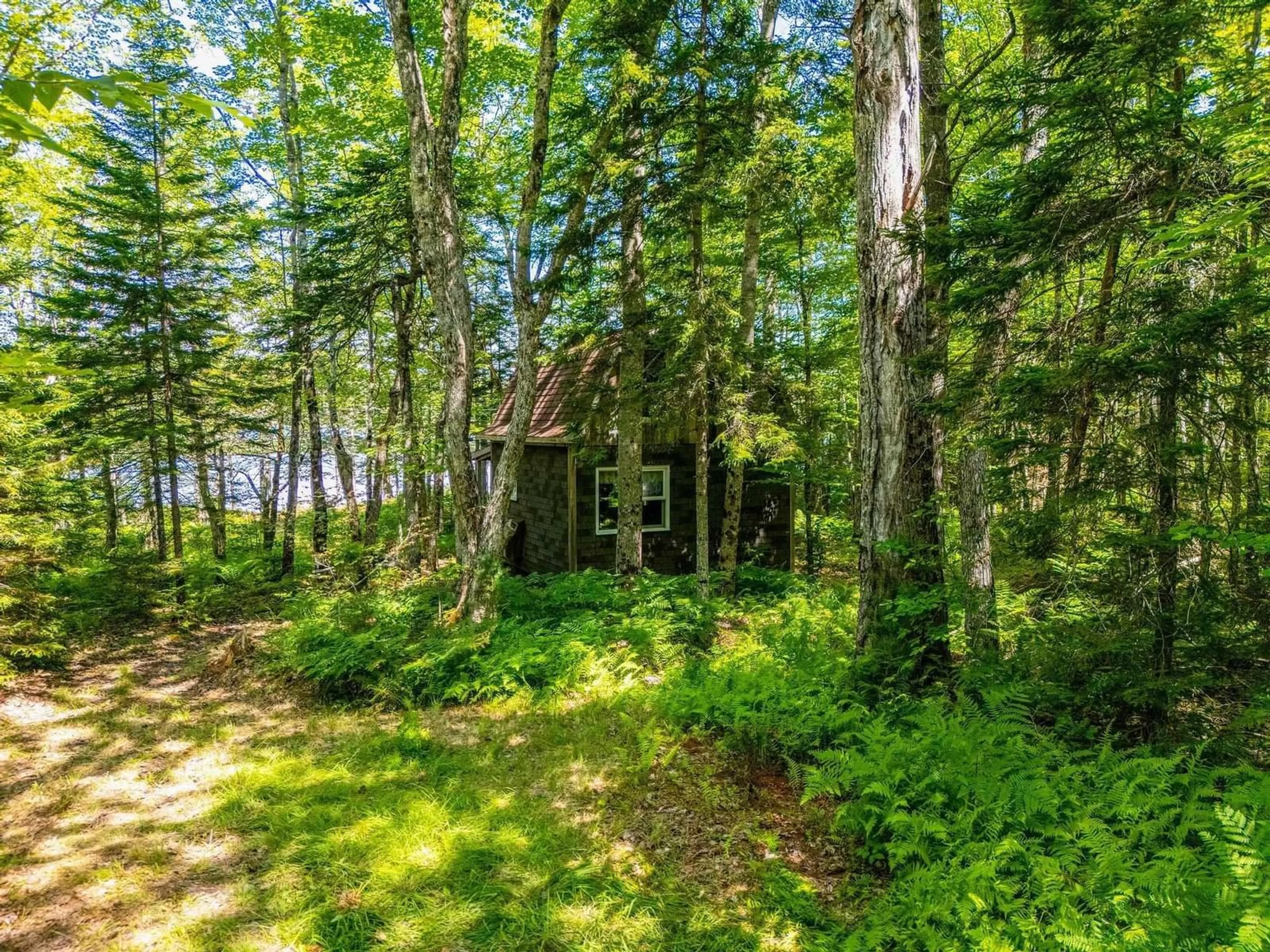 Shed for 241 Bill Berry Rd, Princedale Nova Scotia B0S 1G0
