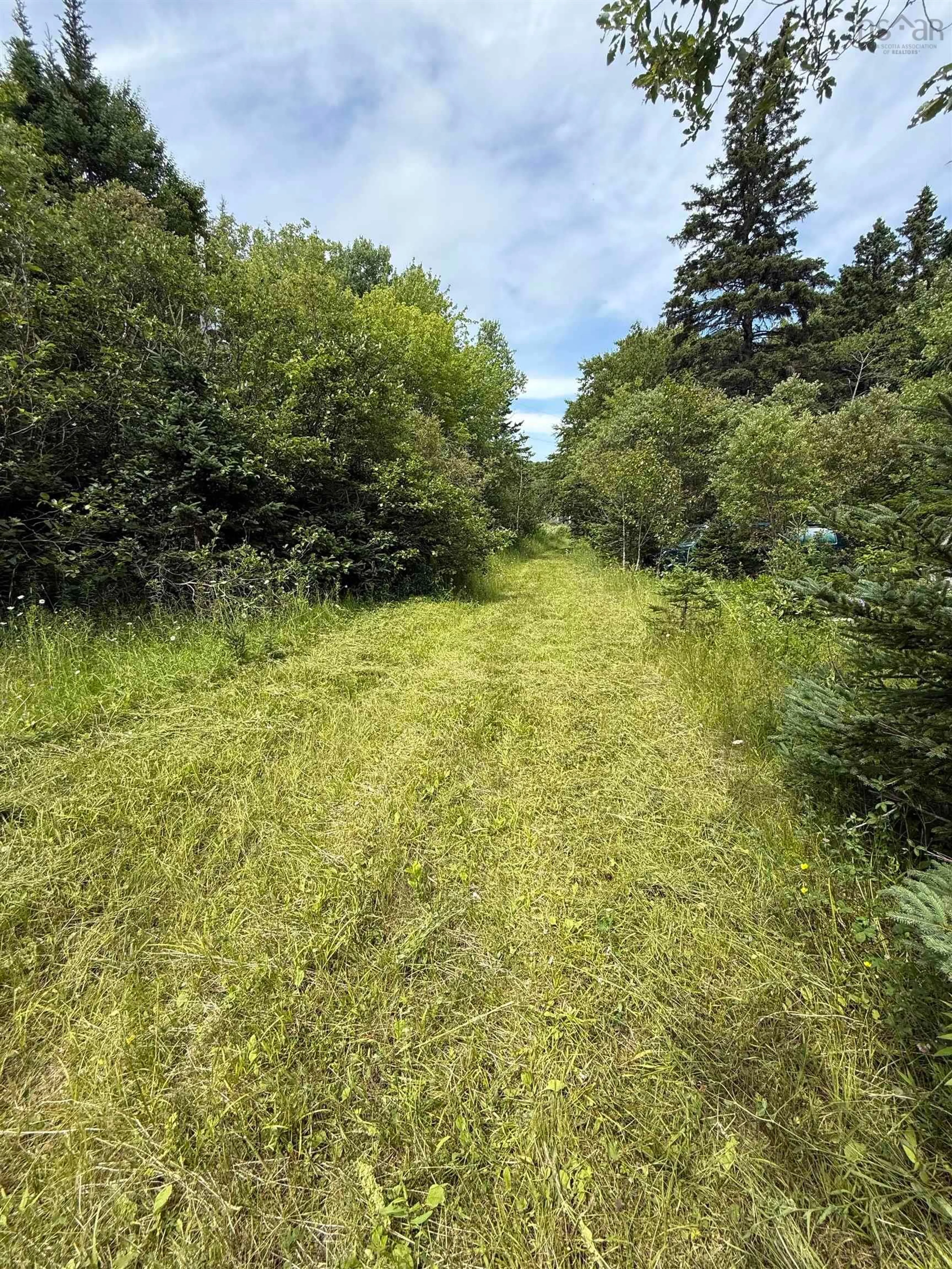 A pic from outside/outdoor area/front of a property/back of a property/a pic from drone, forest/trees view for 5569 Highway 105 Hwy, Port Bevis Nova Scotia B0E 1B0