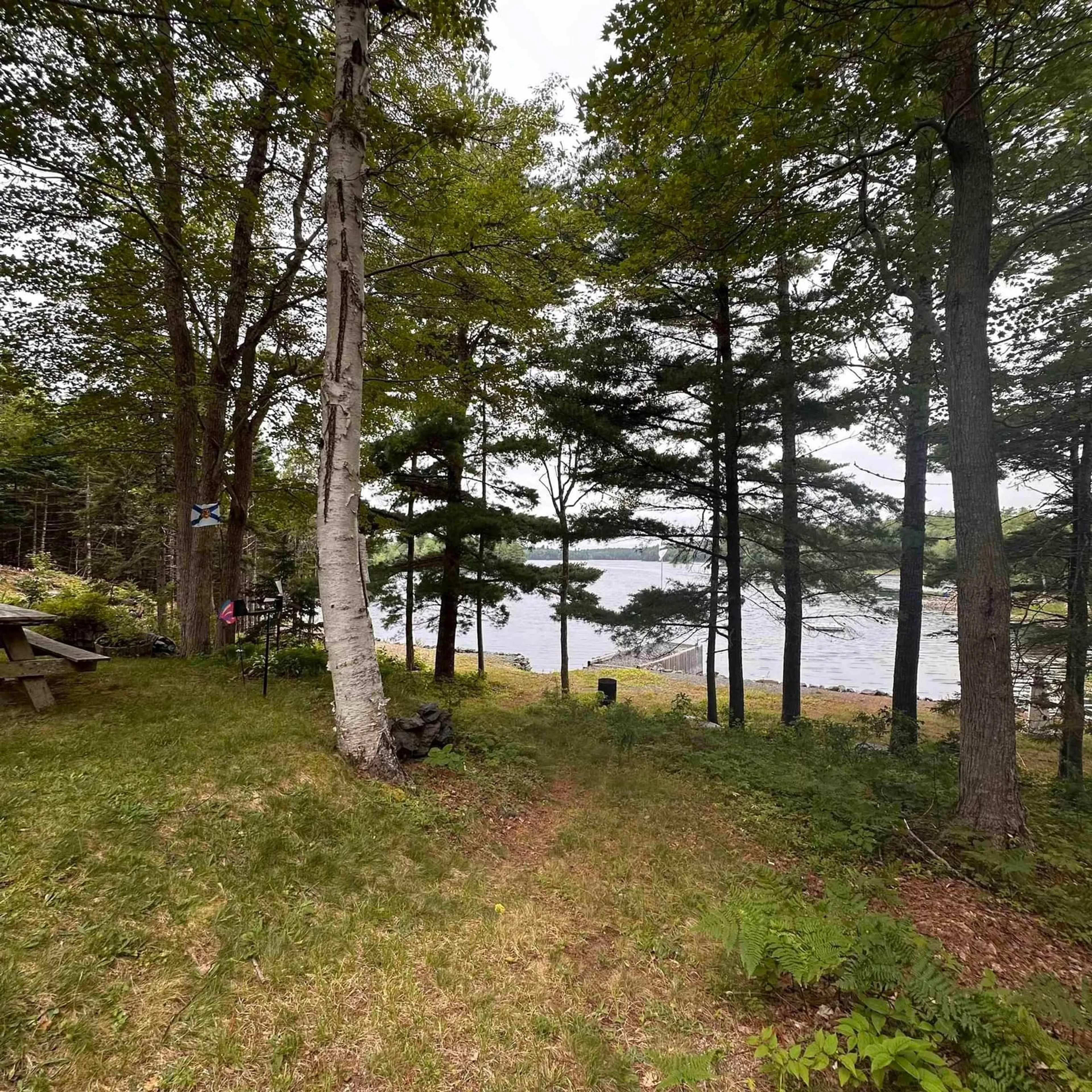 A pic from outside/outdoor area/front of a property/back of a property/a pic from drone, water/lake/river/ocean view for 256 Dean Lake Rd, Westfield Nova Scotia B0T 1B0
