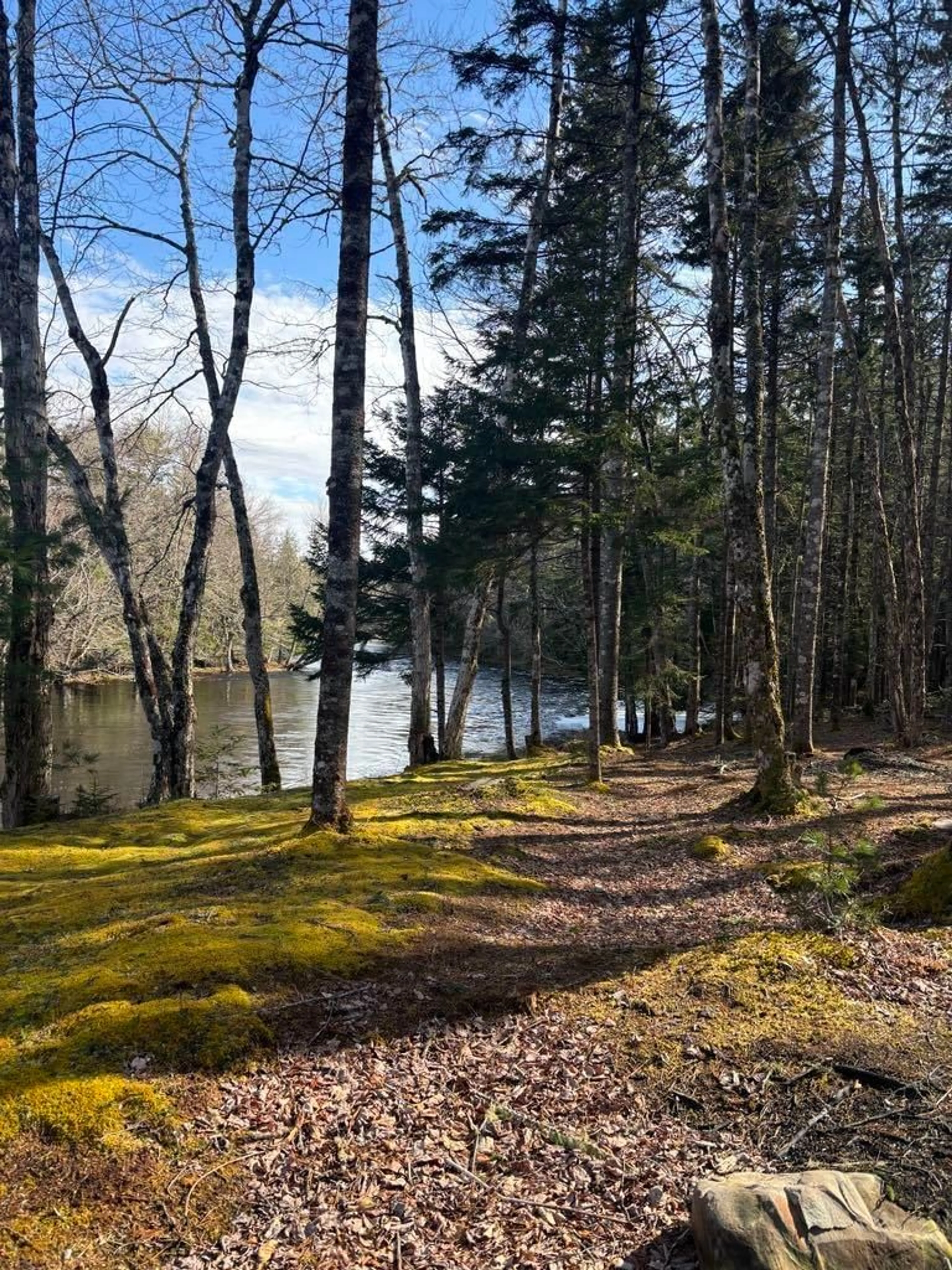 Unknown for 790 Depot Rd, East Kemptville Nova Scotia B5A 5P4