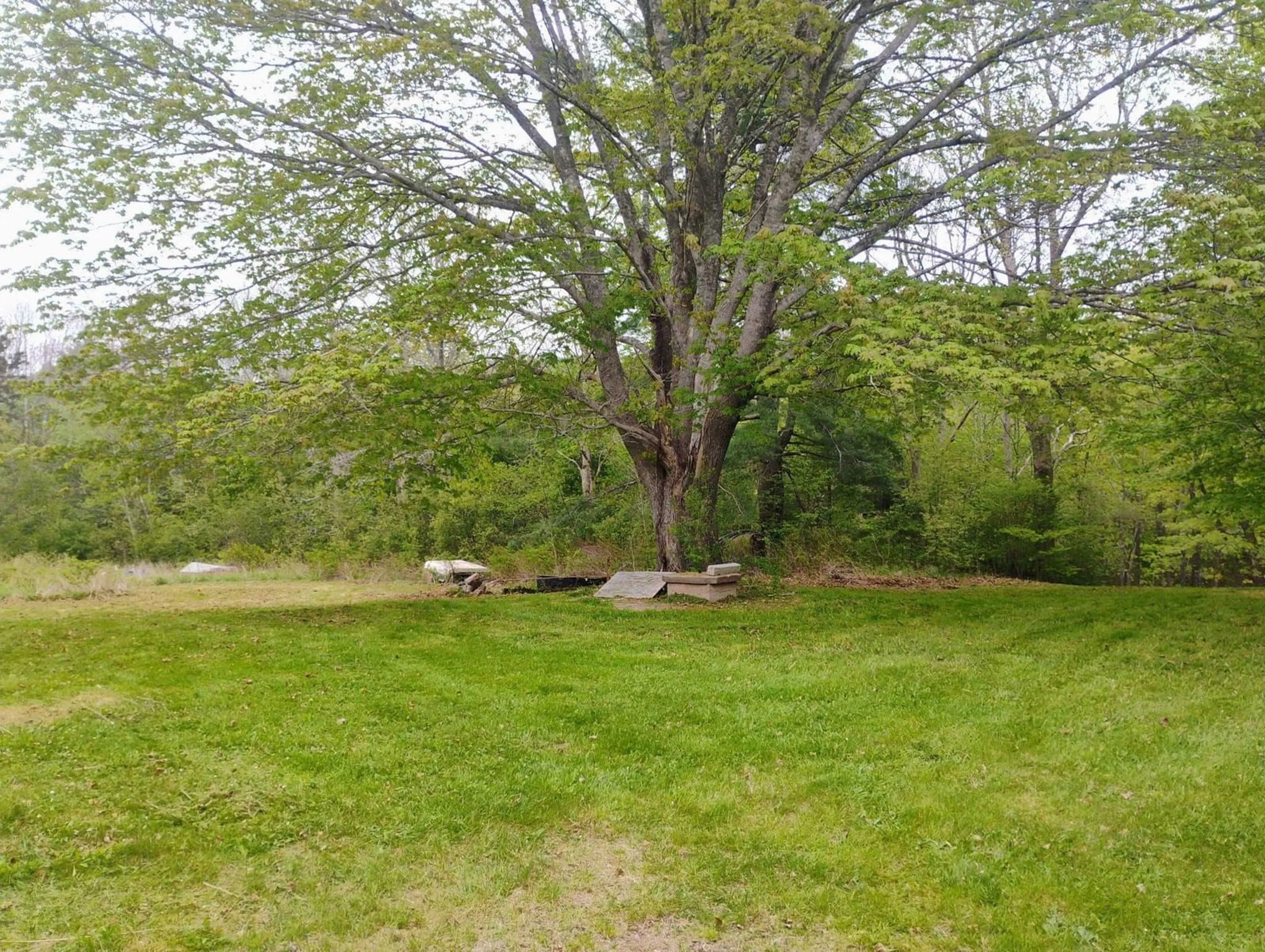A pic from outside/outdoor area/front of a property/back of a property/a pic from drone, forest/trees view for 6672 Highway 332, Upper Lahave Nova Scotia B4V 7C1