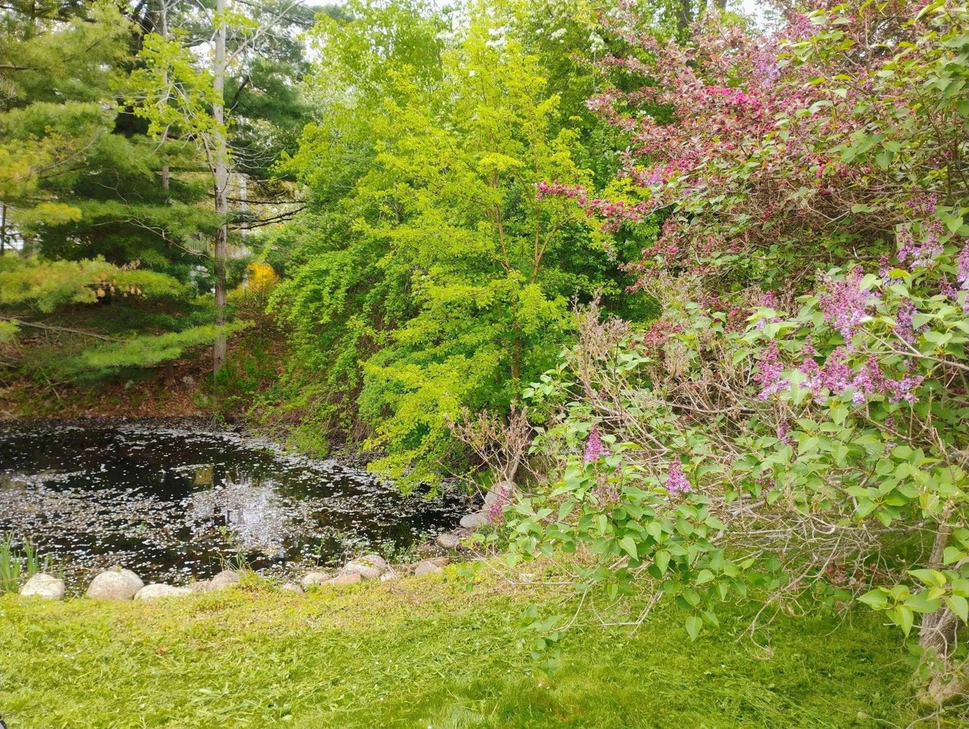A pic from outside/outdoor area/front of a property/back of a property/a pic from drone, water/lake/river/ocean view for 6672 Highway 332, Upper Lahave Nova Scotia B4V 7C1