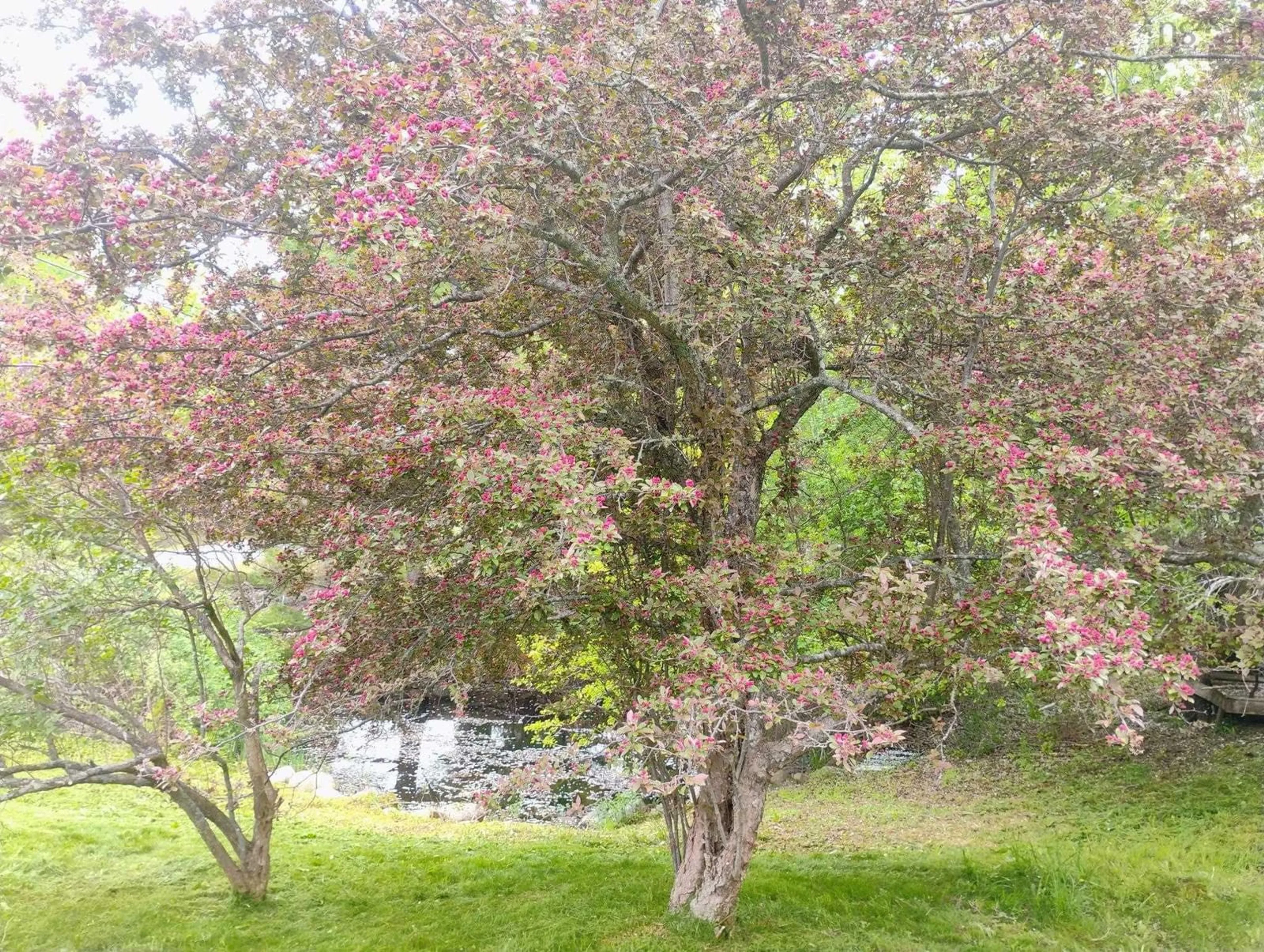 Blurry image for 6672 Highway 332, Upper Lahave Nova Scotia B4V 7C1