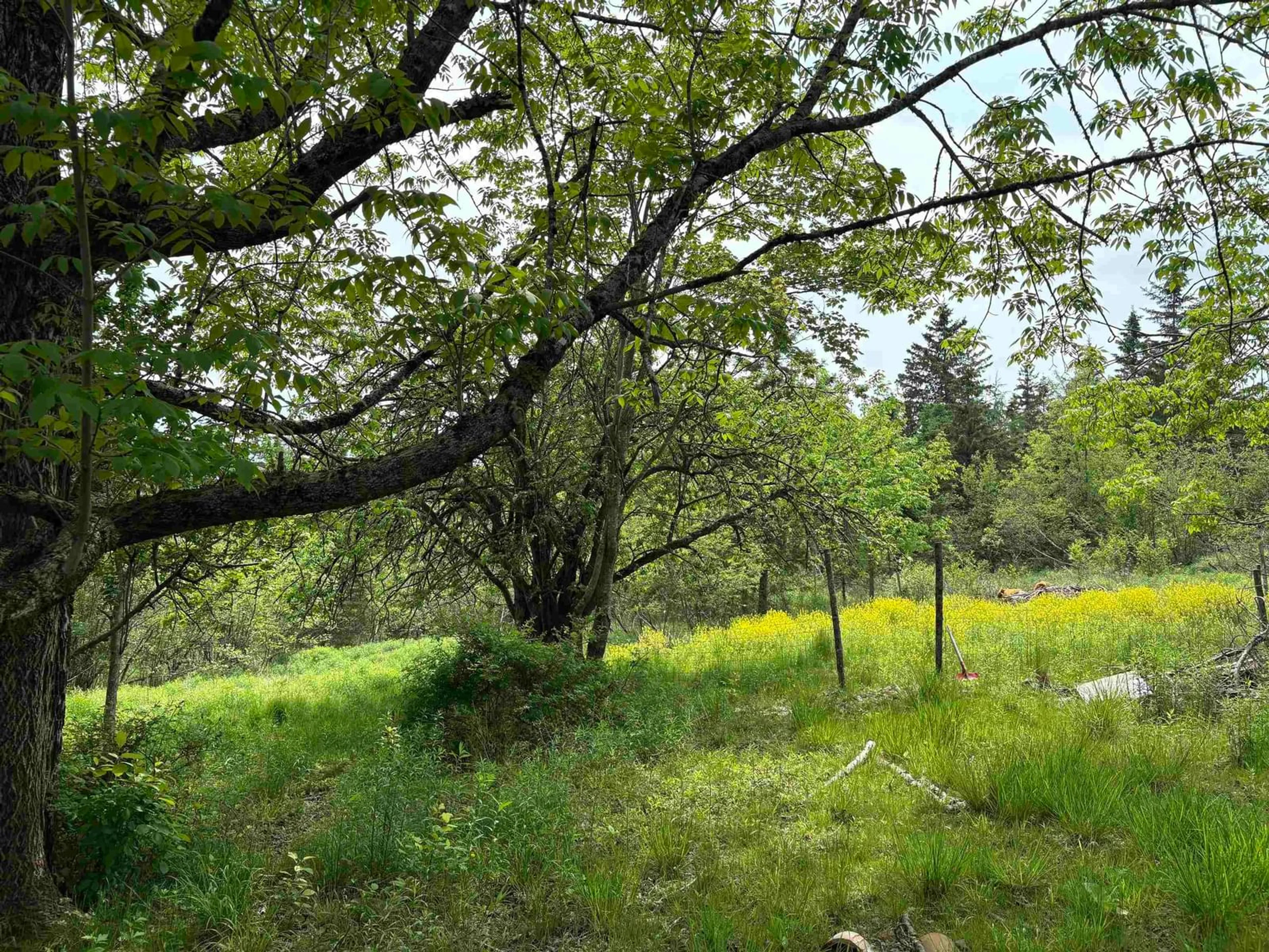 Blurry image for 14422 Hwy 224 Rd, Cooks Brook Nova Scotia B0N 2H0