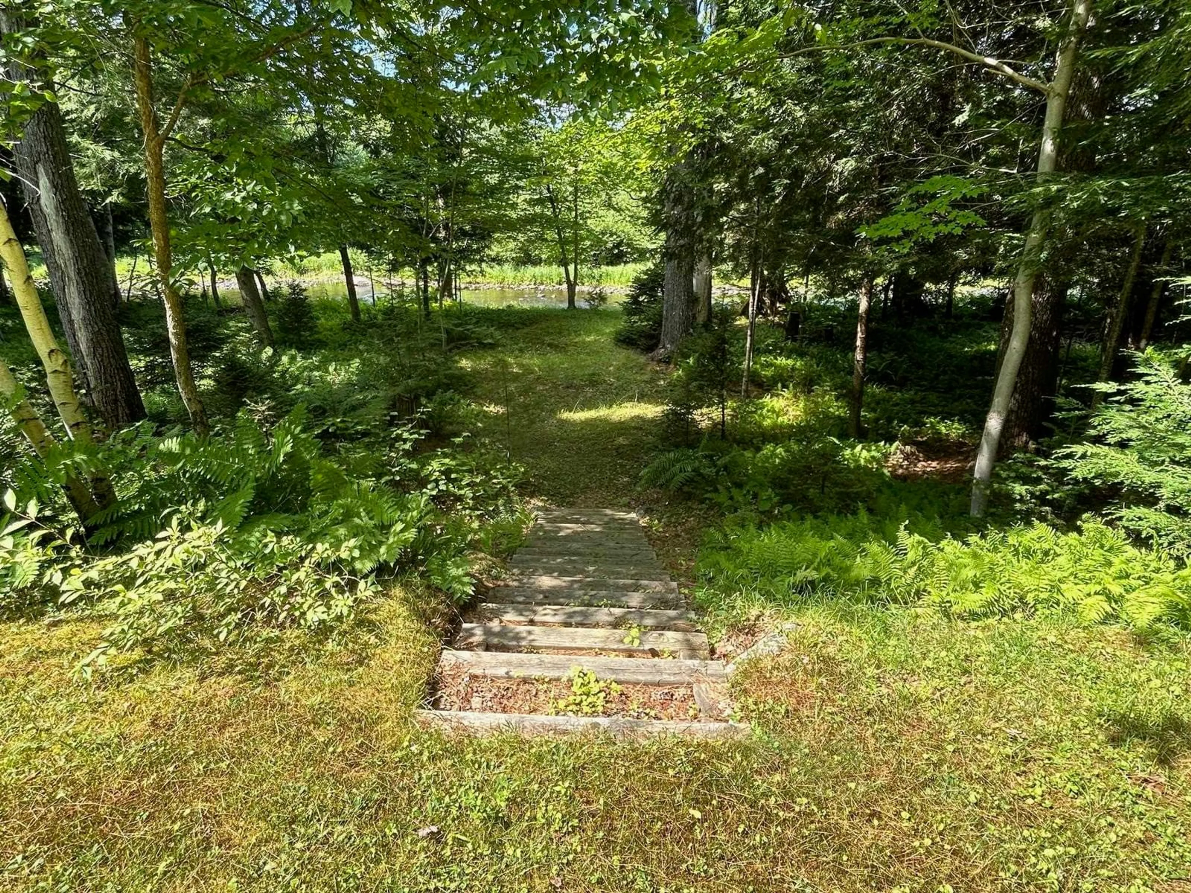A pic from outside/outdoor area/front of a property/back of a property/a pic from drone, forest/trees view for 283 Brandy Lane, North River Nova Scotia B0R 1E0