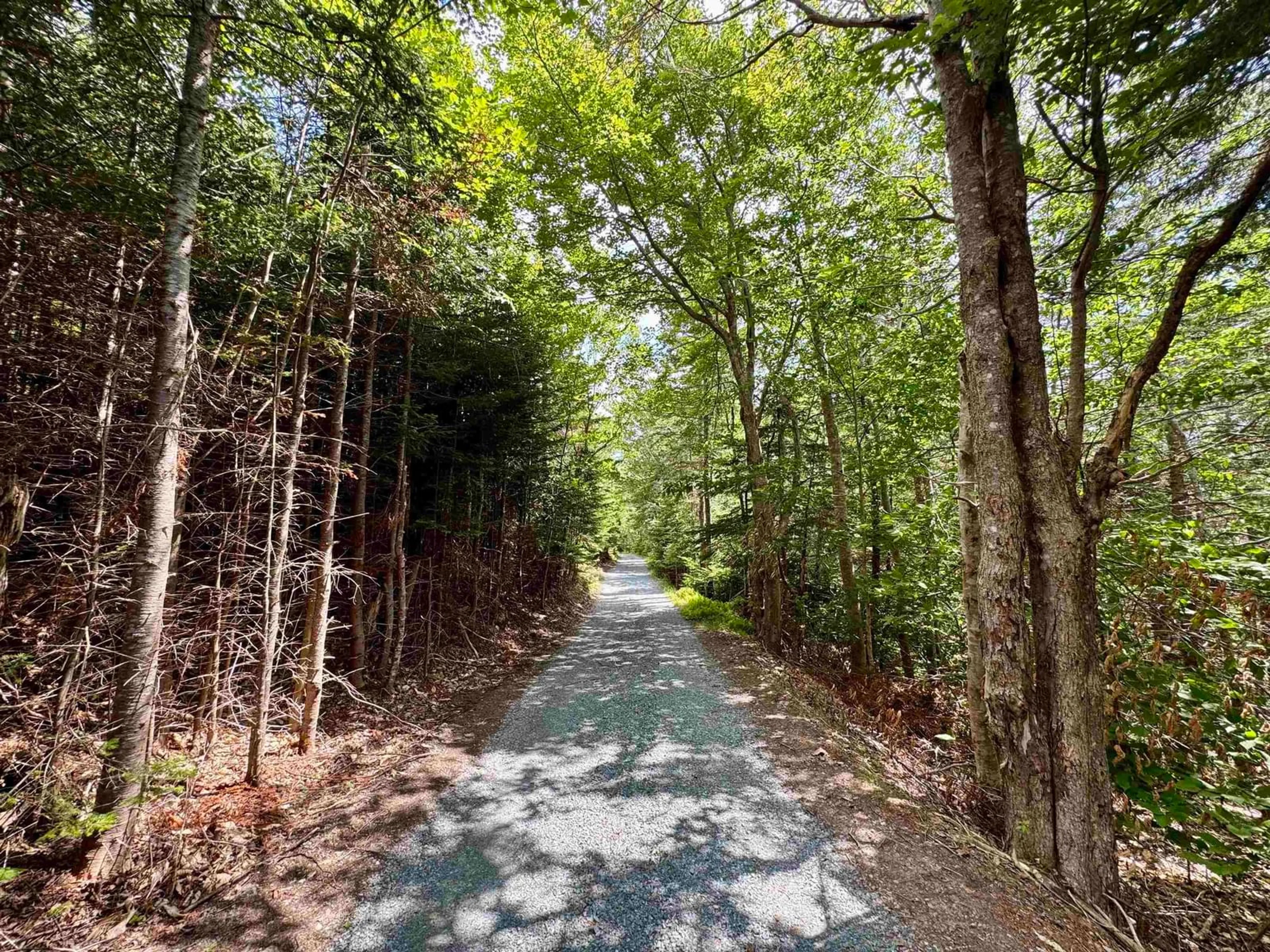A pic from outside/outdoor area/front of a property/back of a property/a pic from drone, forest/trees view for 9169 Highway 16, Cooks Cove Nova Scotia B0H 1N0