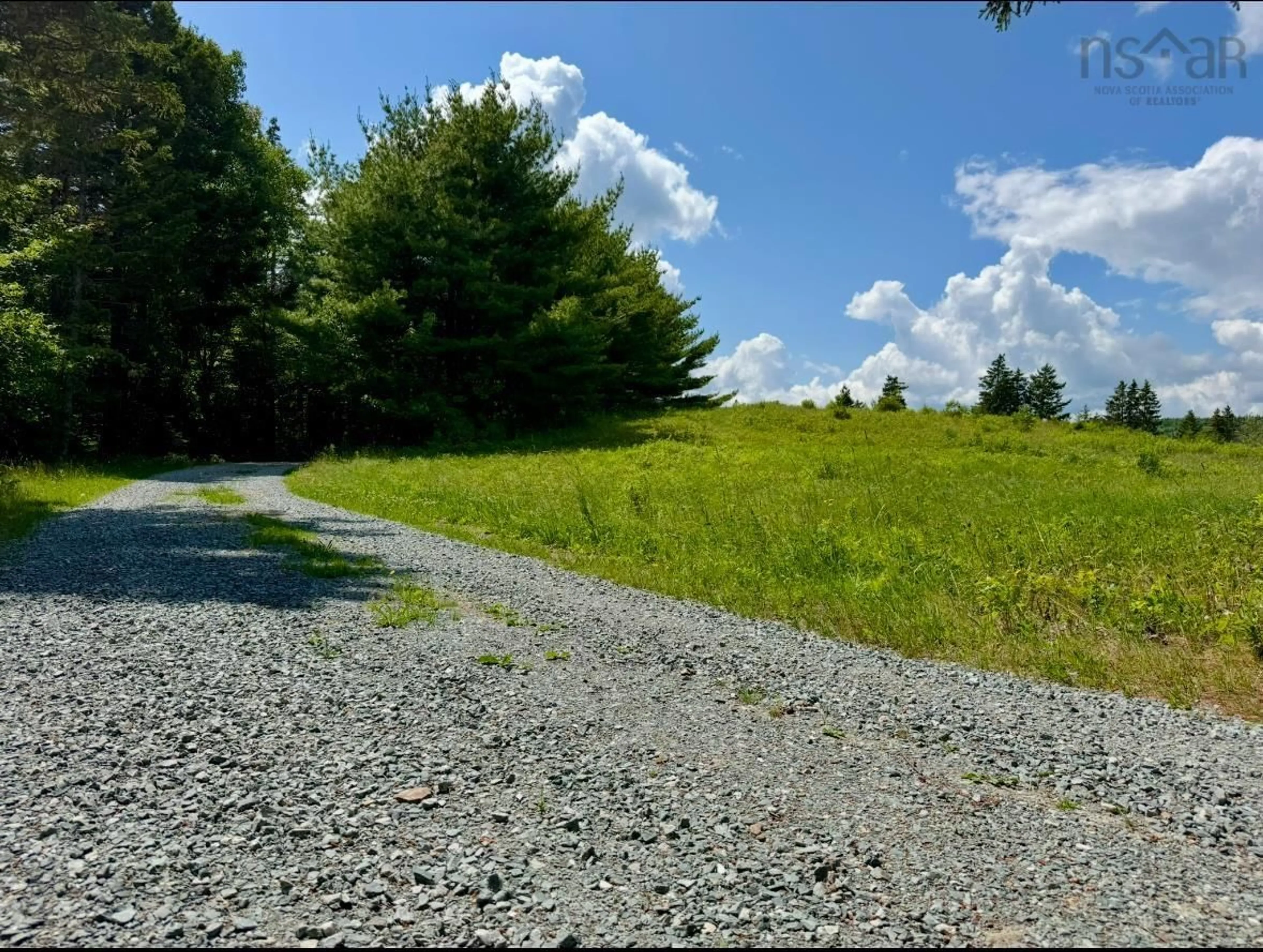 A pic from outside/outdoor area/front of a property/back of a property/a pic from drone, forest/trees view for 9169 Highway 16, Cooks Cove Nova Scotia B0H 1N0
